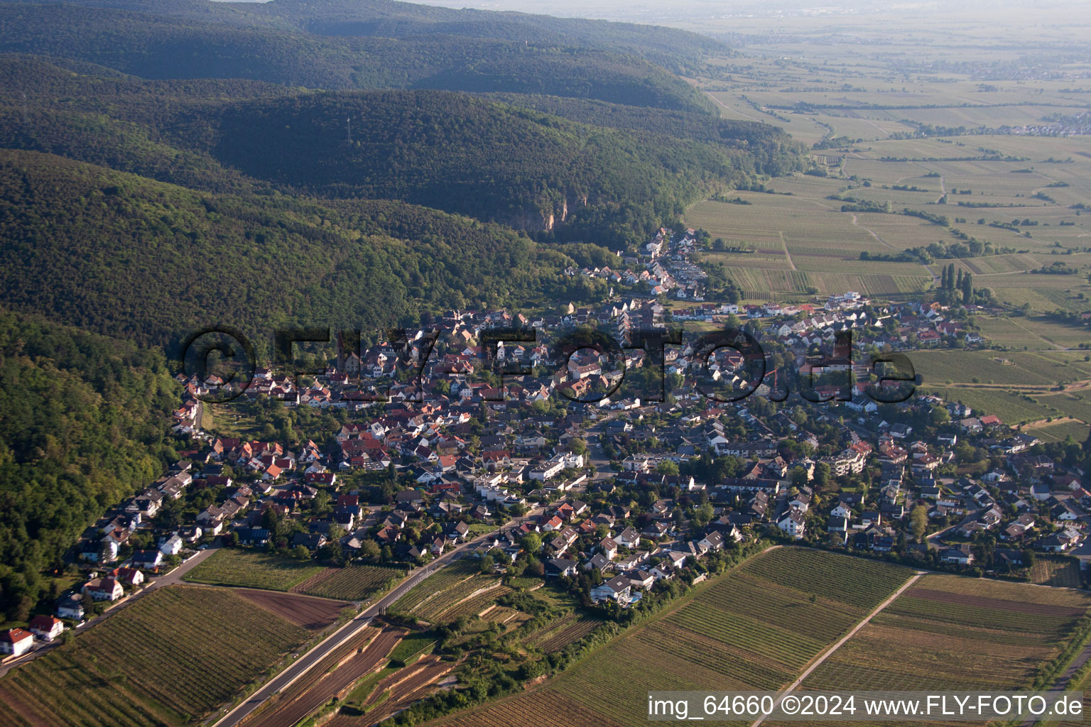 Luftbild von Dorf - Ansicht am Rande von landwirtschaftlichen Feldern und Nutzflächen im Ortsteil Haardt in Neustadt an der Weinstraße im Bundesland Rheinland-Pfalz, Deutschland
