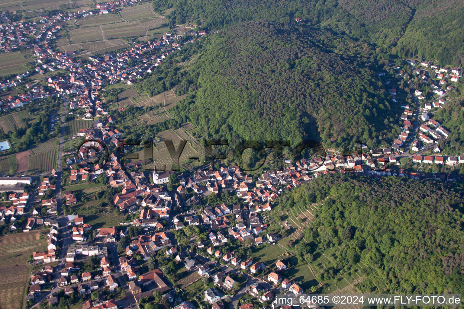 Luftaufnahme von Dorf - Ansicht am Rande von Weinbergen im Ortsteil Hambach in Neustadt an der Weinstraße im Ortsteil Hambach an der Weinstraße im Bundesland Rheinland-Pfalz, Deutschland