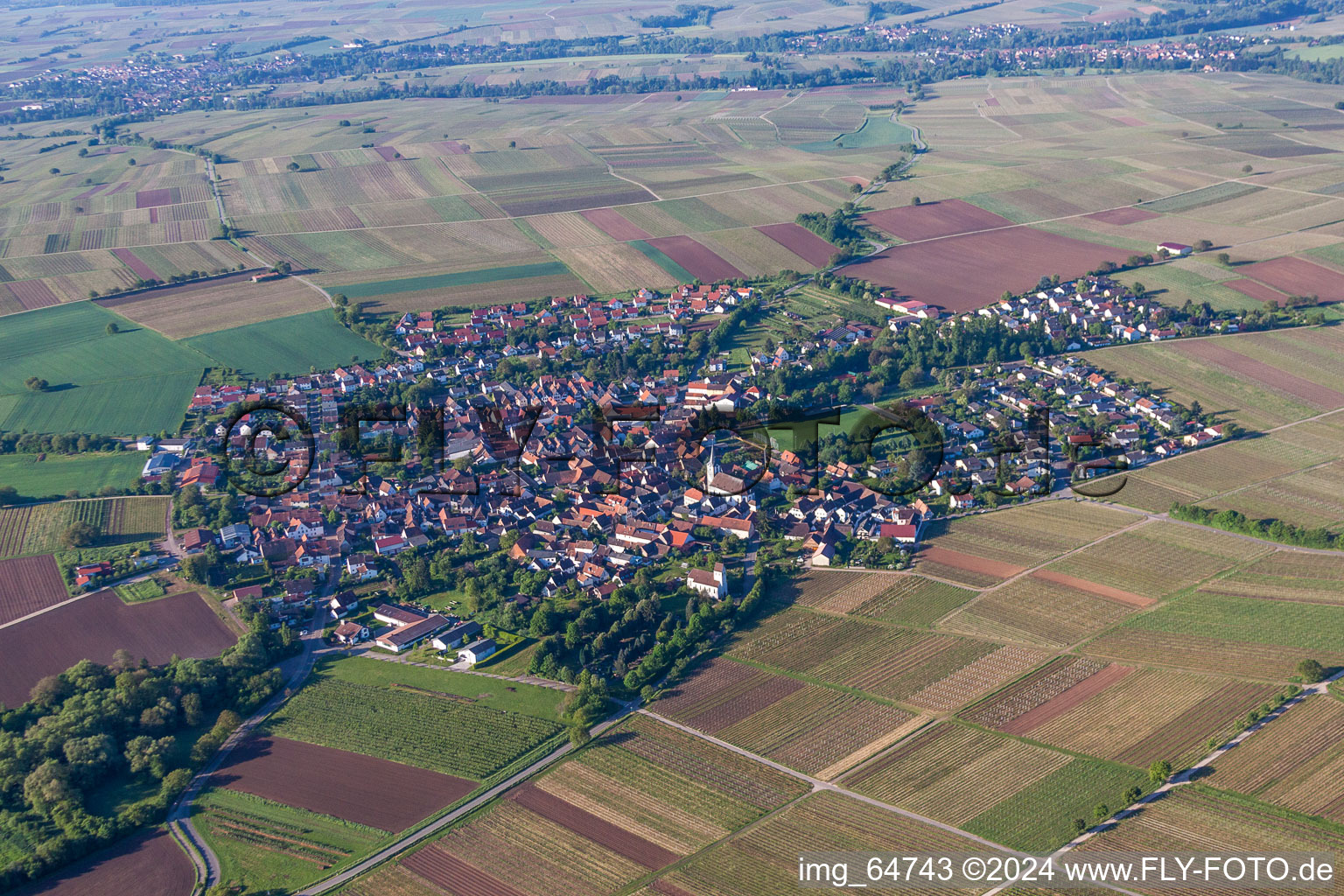 Luftbild von Dorf - Ansicht am Rande von landwirtschaftlichen Feldern und Nutzflächen in Wollmesheim in Landau in der Pfalz im Bundesland Rheinland-Pfalz, Deutschland