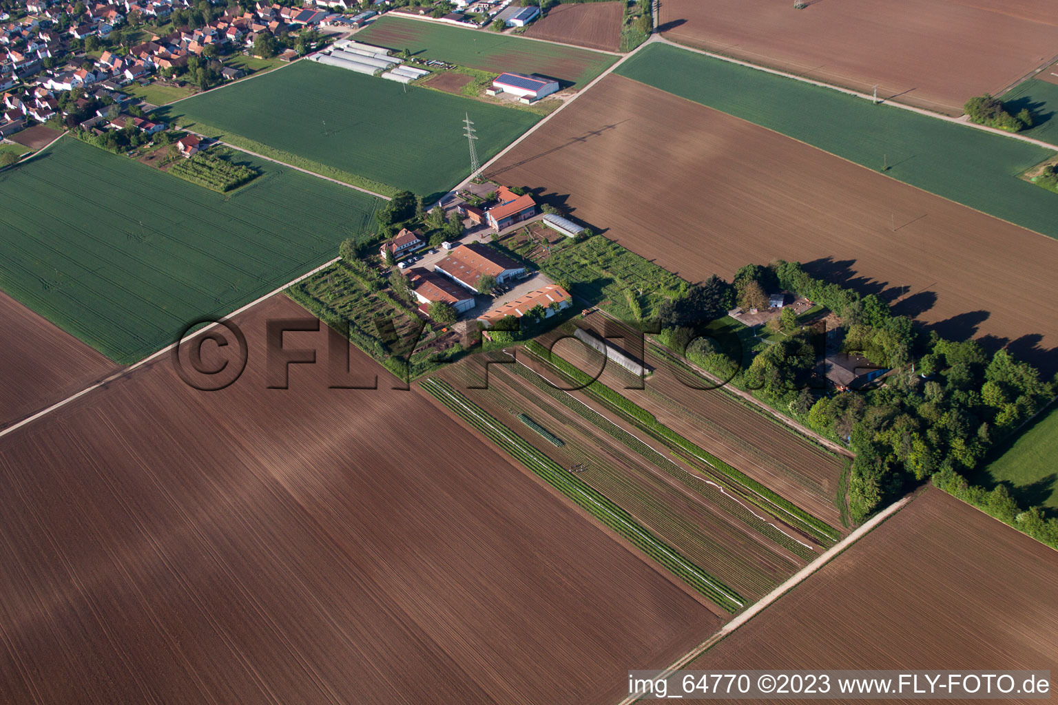 Luftaufnahme von Minfeld, Schoßberghof im Bundesland Rheinland-Pfalz, Deutschland