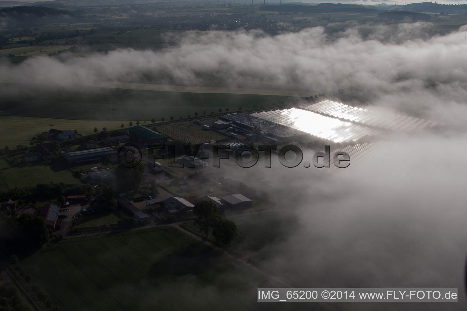 Wetterbedingt in eine Nebel- Schicht eingebettete Panelreihen der Photovoltaikanlage des Solarpark bzw. Solarkraftwerk im Ortsteil Bredenborn in Marienmünster im Bundesland Nordrhein-Westfalen, Deutschland