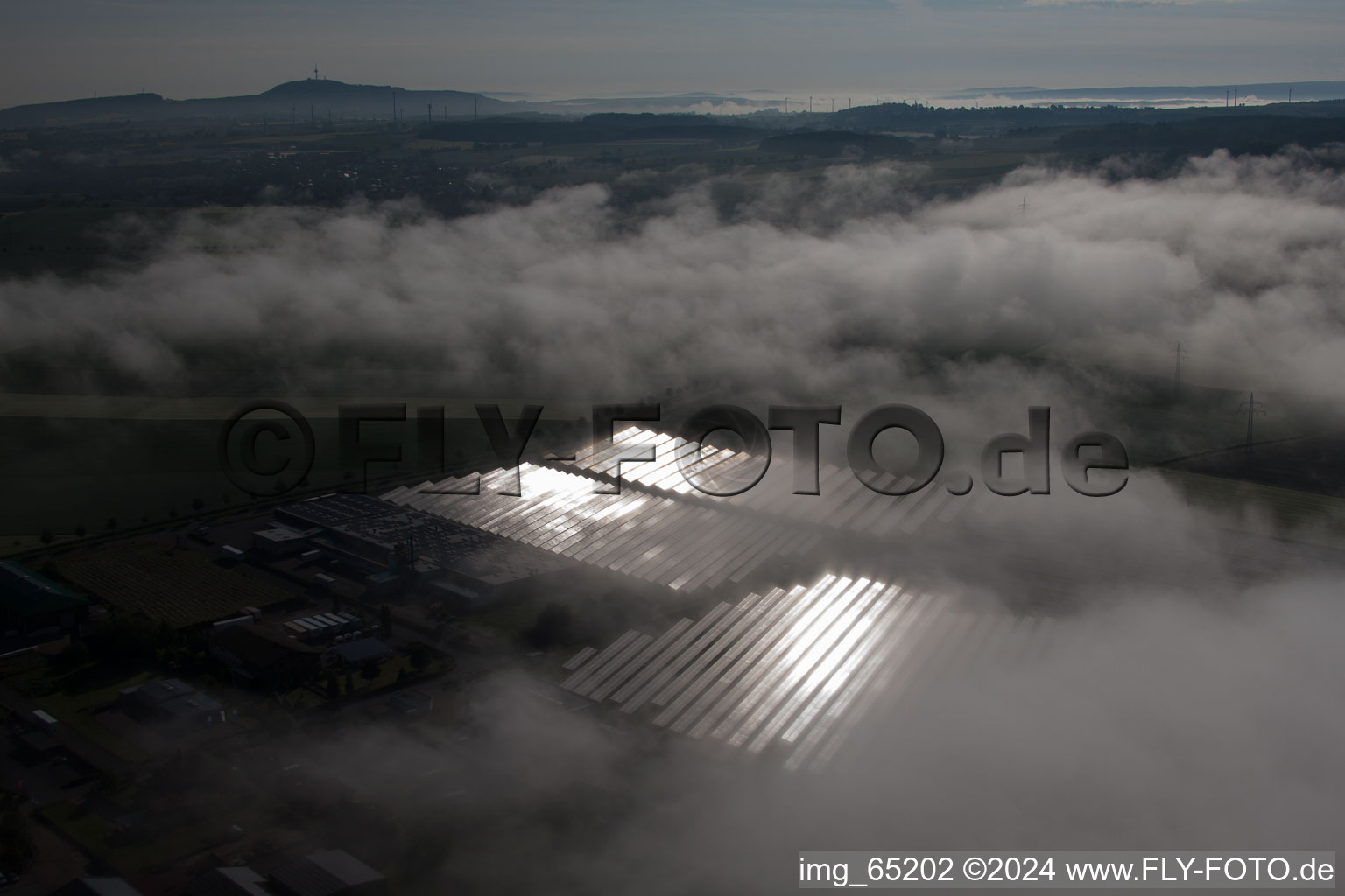 Luftbild von Wetterbedingt in eine Nebel- Schicht eingebettete Panelreihen der Photovoltaikanlage des Solarpark bzw. Solarkraftwerk im Ortsteil Bredenborn in Marienmünster im Bundesland Nordrhein-Westfalen, Deutschland
