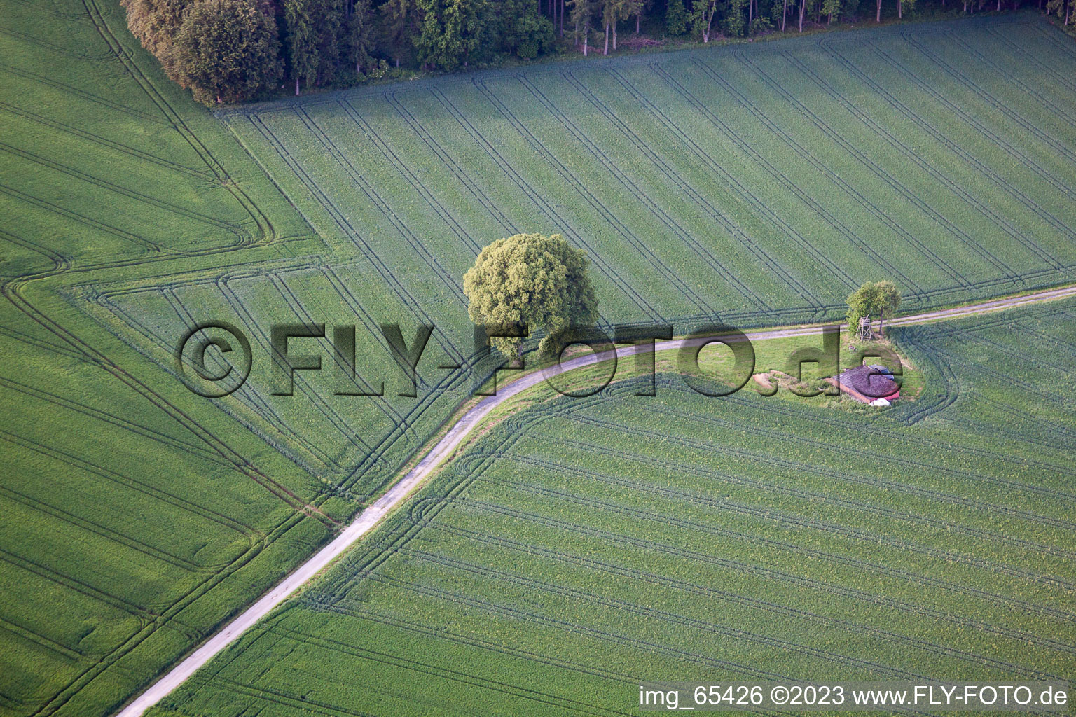 Luftbild von Tietelsen im Bundesland Nordrhein-Westfalen, Deutschland
