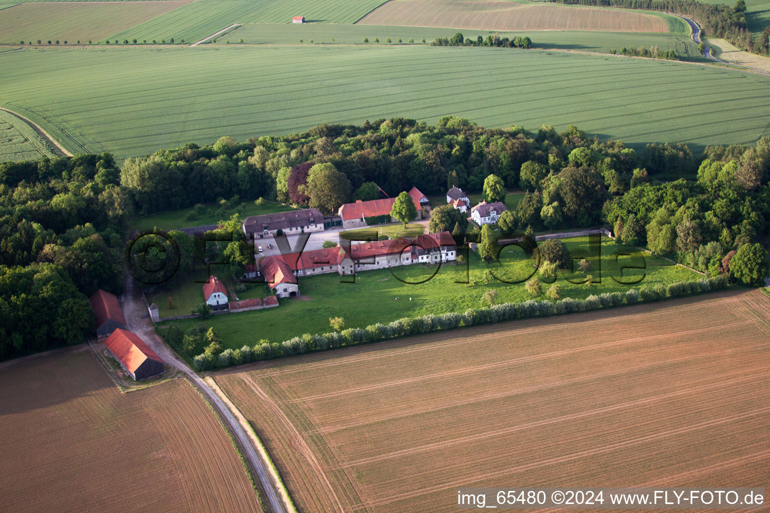 Gehöft eines Bauernhofes am Rand von bestellten Feldern im Ortsteil Abbenburg in Brakel im Bundesland Nordrhein-Westfalen, Deutschland