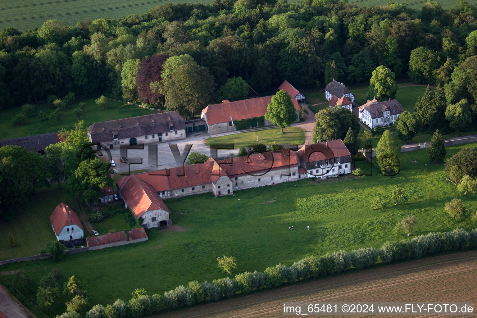 Luftbild von Gehöft eines Bauernhofes am Rand von bestellten Feldern im Ortsteil Abbenburg in Brakel im Bundesland Nordrhein-Westfalen, Deutschland