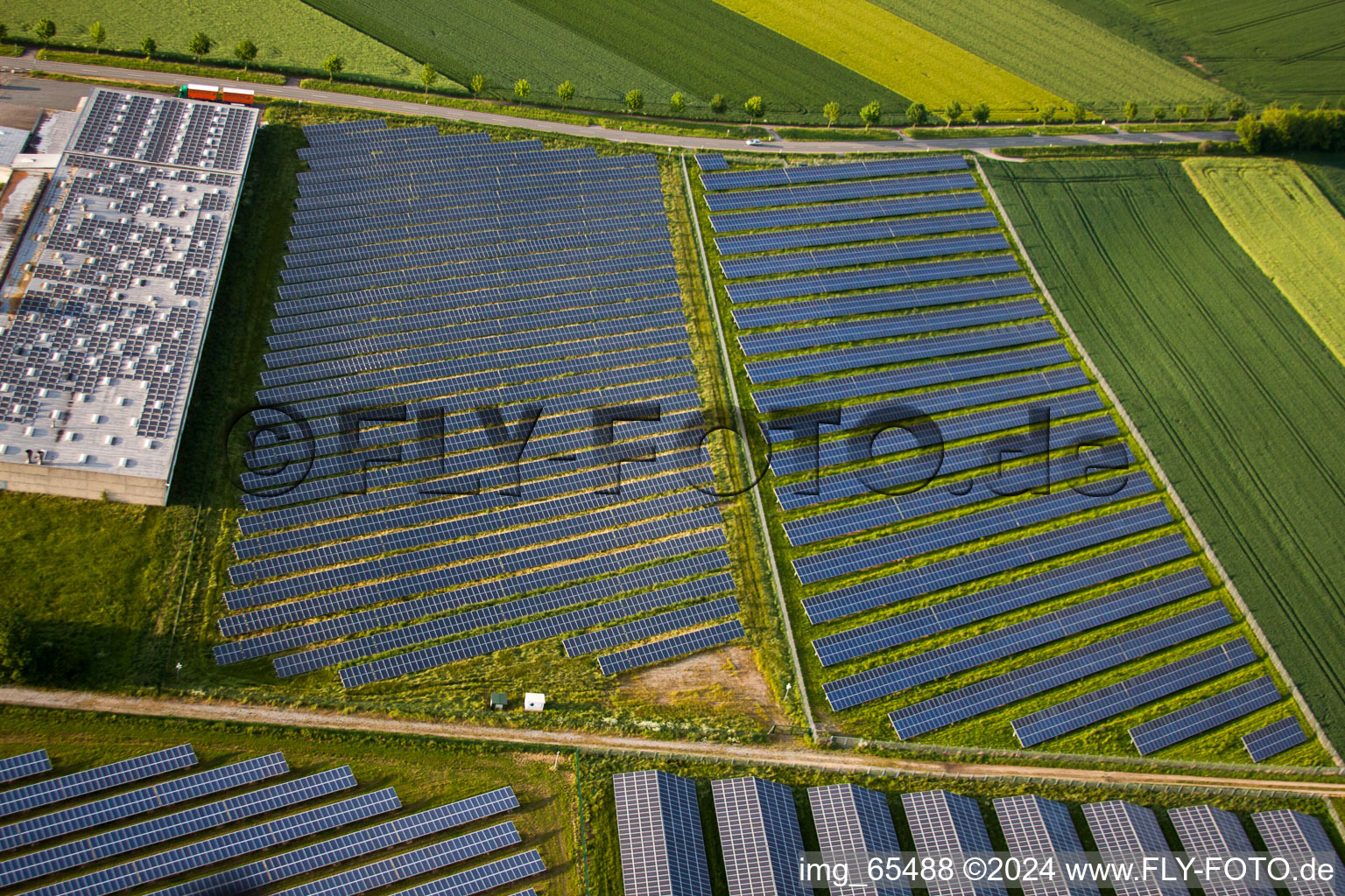 Panelreihen der Photovoltaikanlage und Solarpark bzw. Solarkraftwerk im Ortsteil Bredenborn in Marienmünster im Bundesland Nordrhein-Westfalen, Deutschland von oben