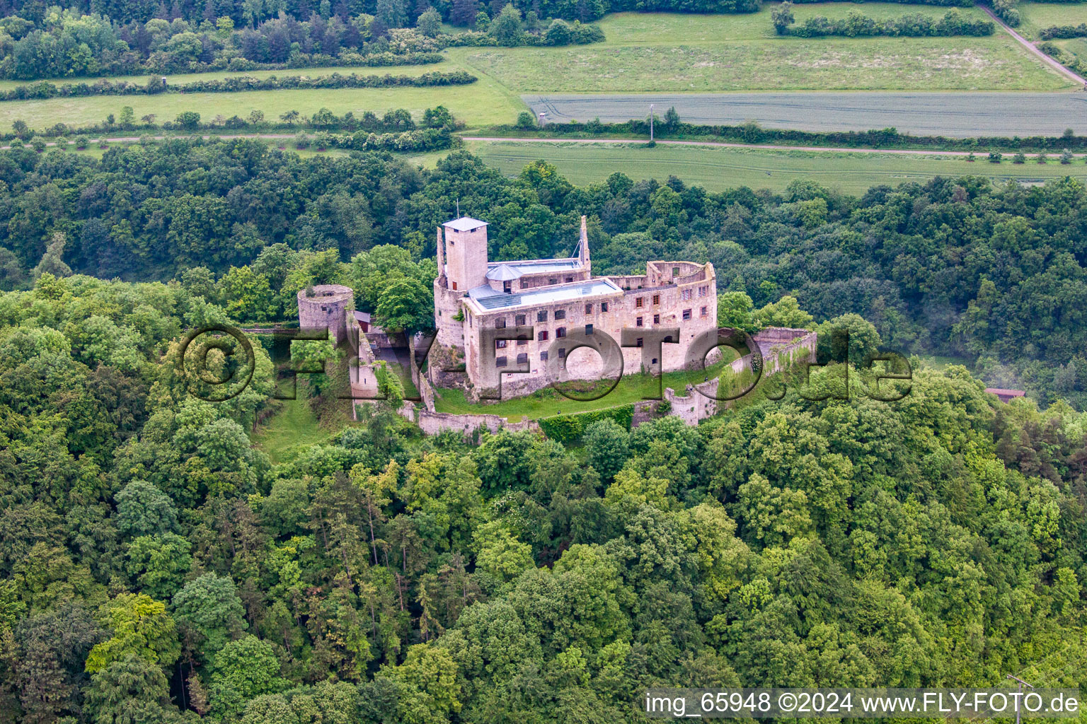 Burg Trimburg im Ortsteil Trimberg in Elfershausen im Bundesland Bayern, Deutschland