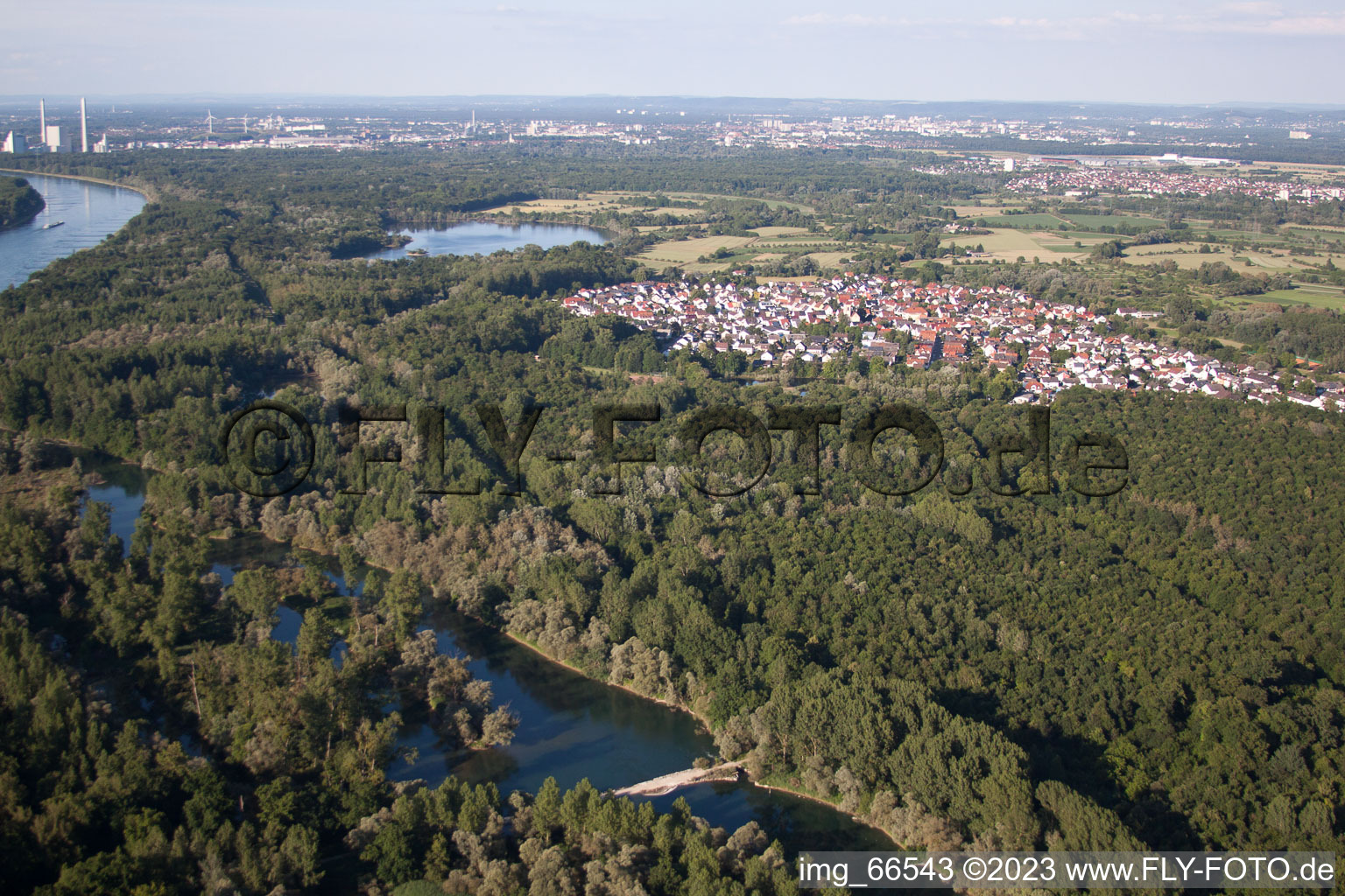 Au am Rhein im Bundesland Baden-Württemberg, Deutschland von einer Drohne aus