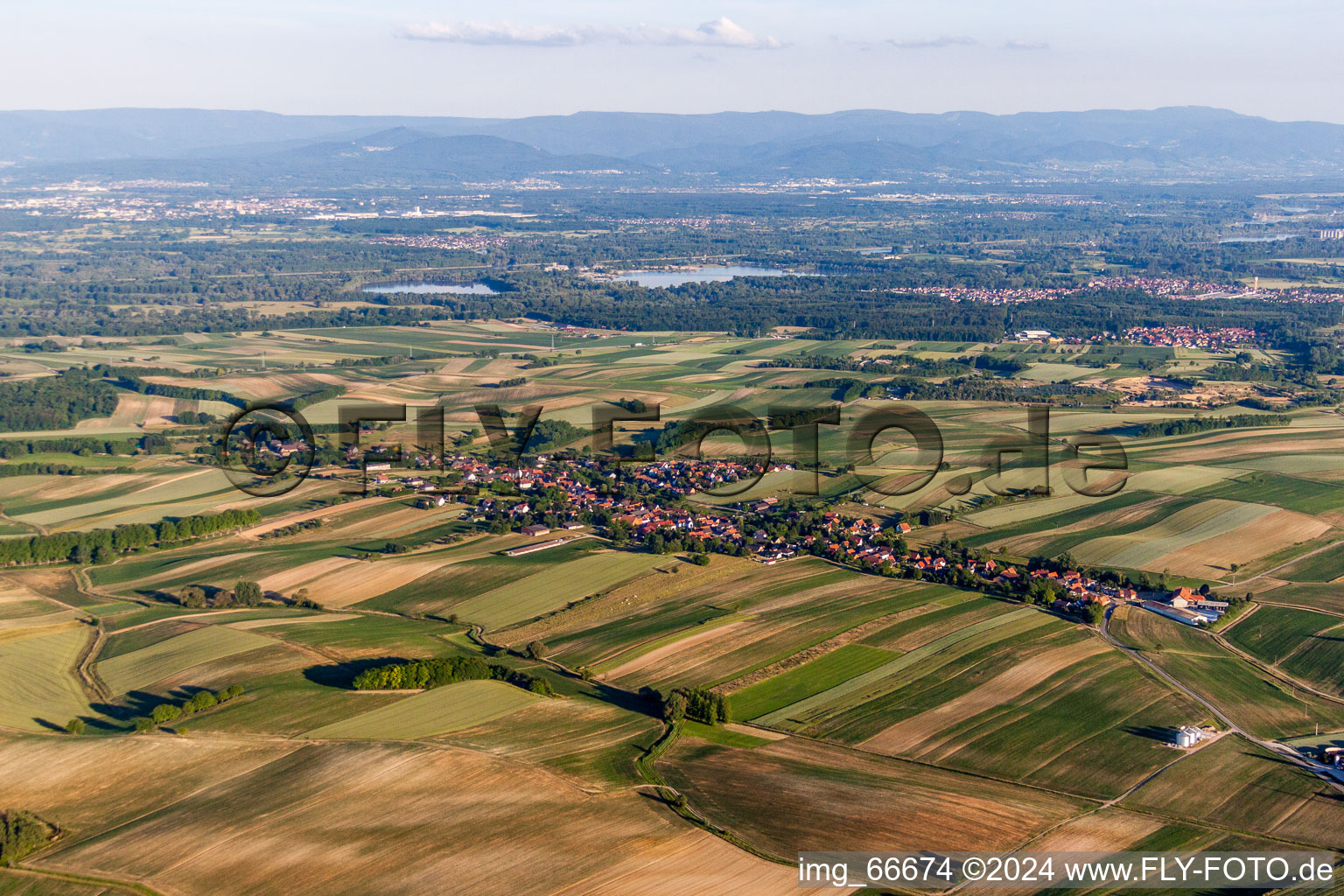 Luftbild von Dorf - Ansicht am Rande von landwirtschaftlichen Feldern und Nutzflächen in Wintzenbach in Grand Est im Bundesland Bas-Rhin, Frankreich