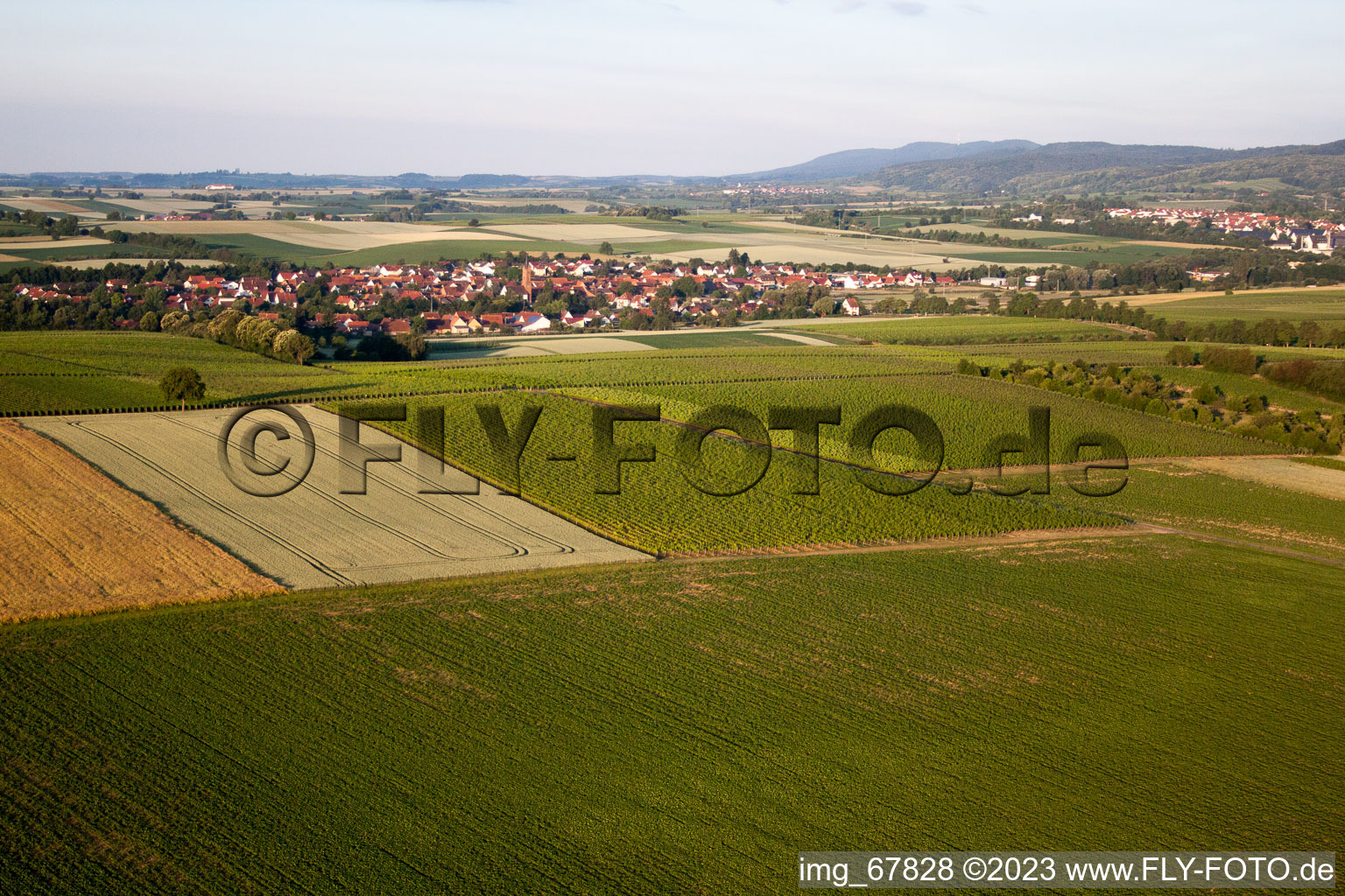 Drohnenbild von Niederhorbach im Bundesland Rheinland-Pfalz, Deutschland