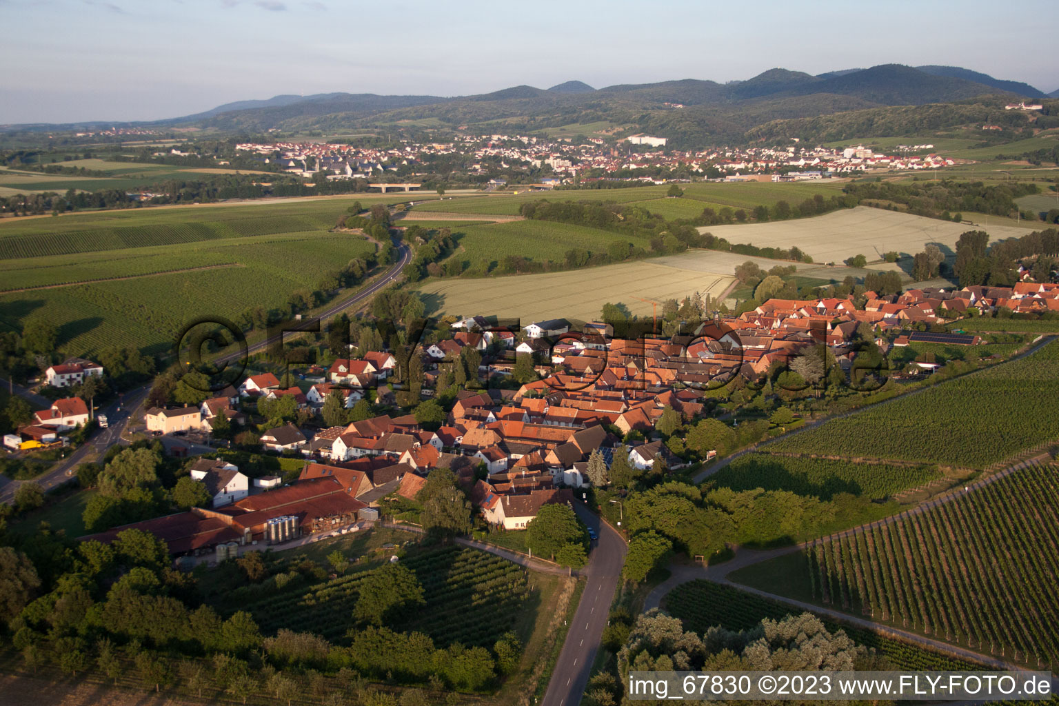Niederhorbach im Bundesland Rheinland-Pfalz, Deutschland aus der Drohnenperspektive