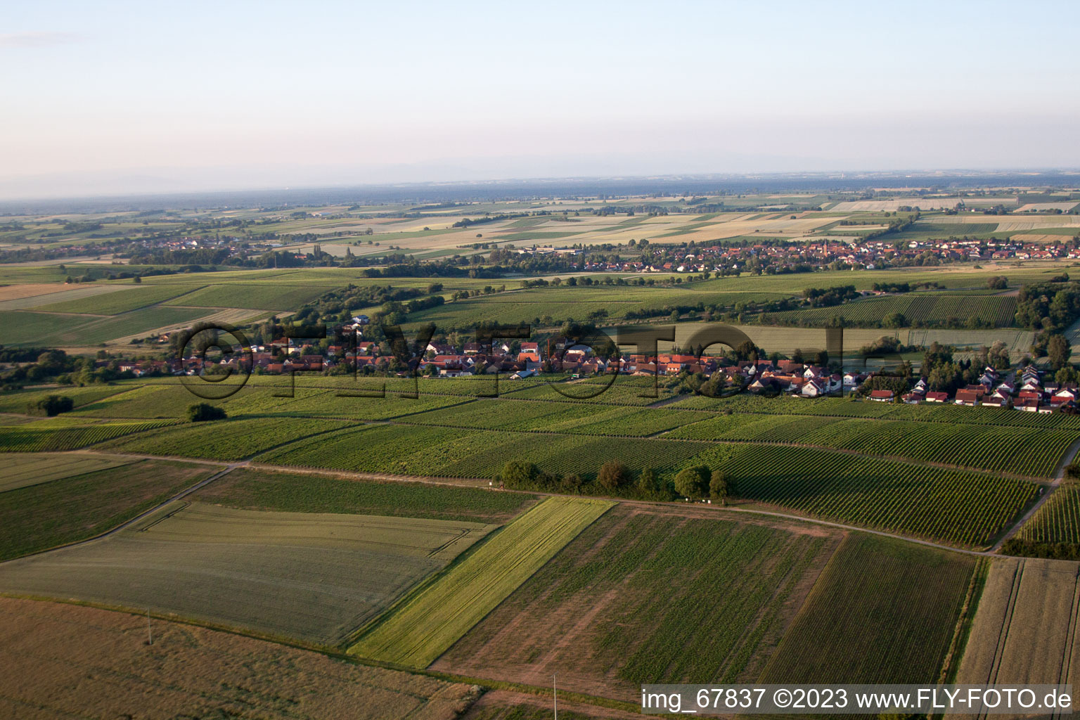 Niederhorbach im Bundesland Rheinland-Pfalz, Deutschland von einer Drohne aus