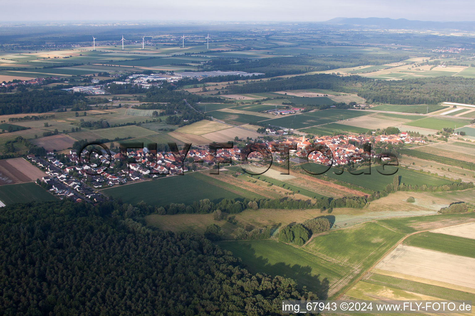 Von Nordosten in Erlenbach bei Kandel im Bundesland Rheinland-Pfalz, Deutschland vom Flugzeug aus