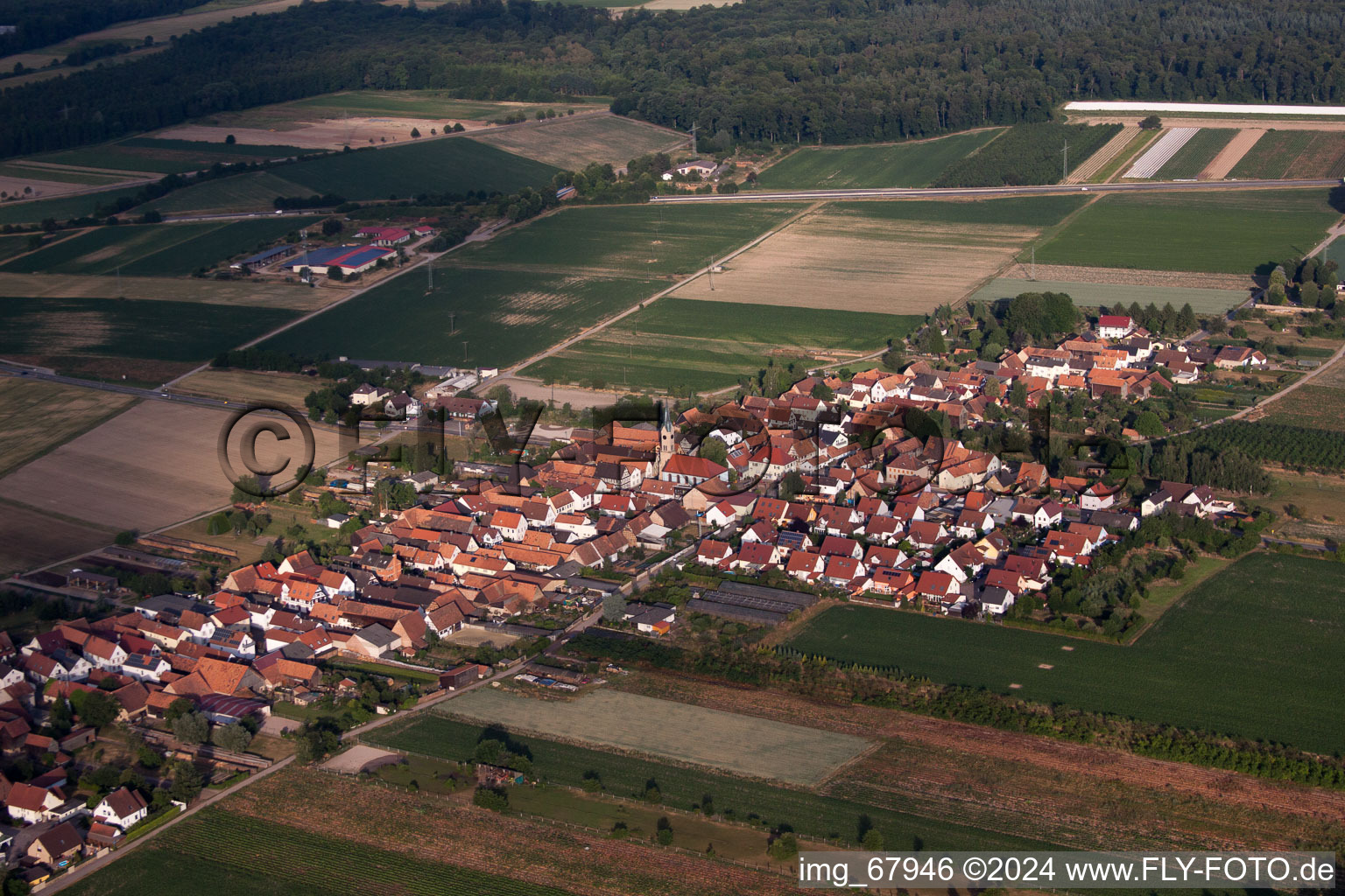 Erlenbach bei Kandel im Bundesland Rheinland-Pfalz, Deutschland aus der Vogelperspektive