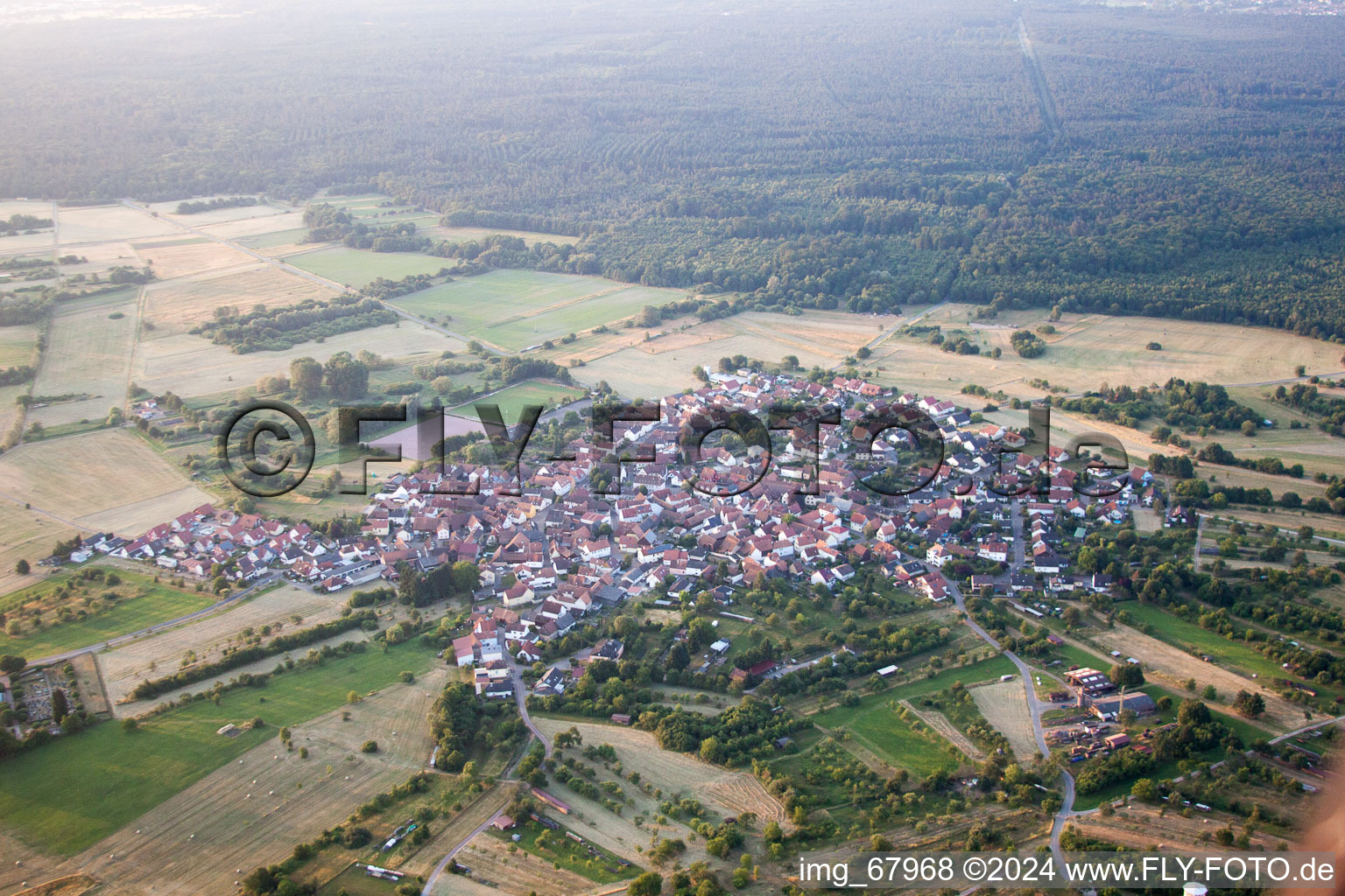 Dorf - Ansicht im Ortsteil Büchelberg in Wörth am Rhein im Bundesland Rheinland-Pfalz, Deutschland von oben gesehen