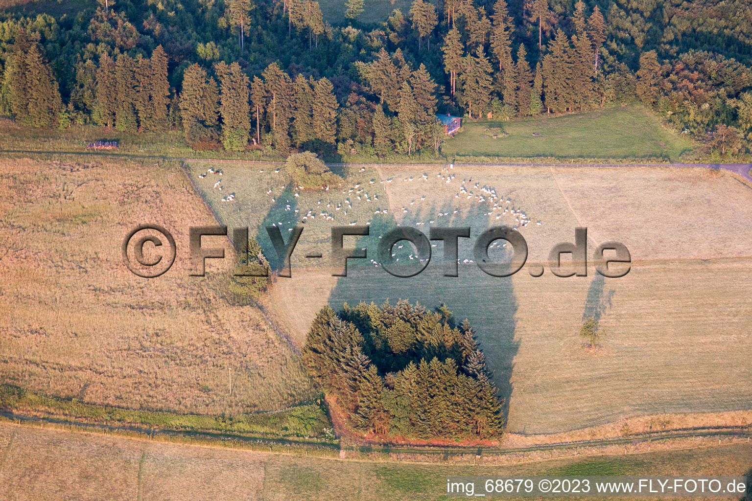 Luftaufnahme von Hoherodskopf im Bundesland Hessen, Deutschland
