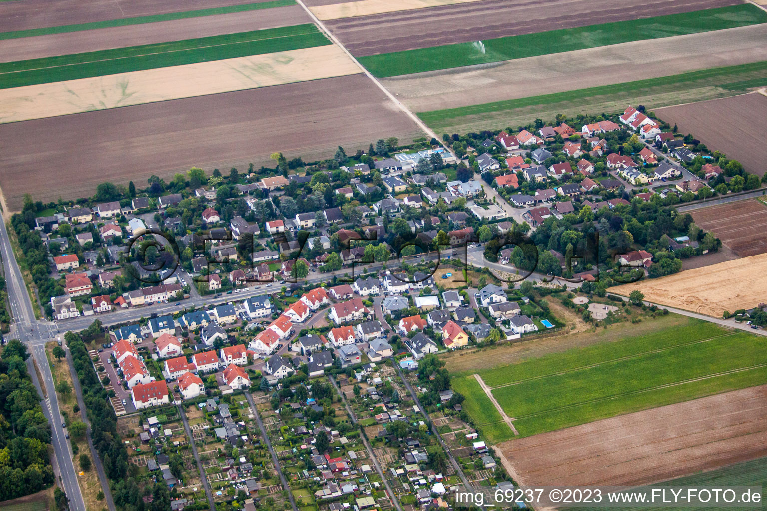 Luftbild von Lambsheimer Straße in Frankenthal im Bundesland Rheinland-Pfalz, Deutschland