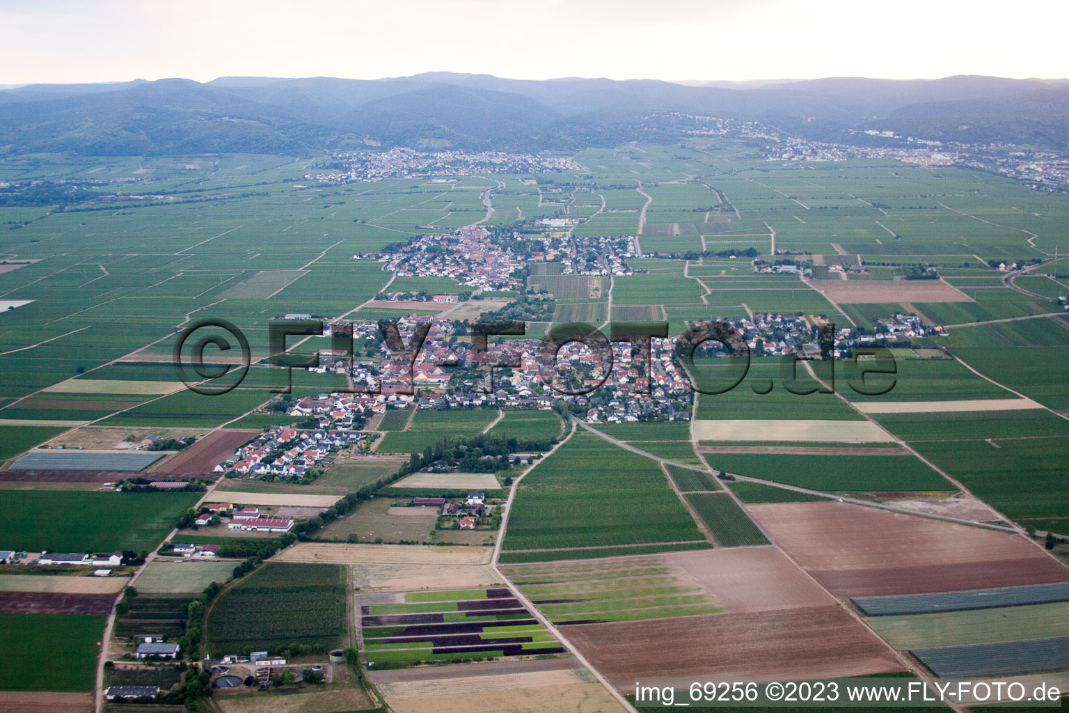 Ellerstadt im Bundesland Rheinland-Pfalz, Deutschland aus der Drohnenperspektive