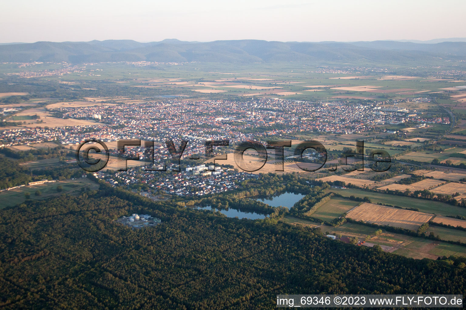 Haßloch im Bundesland Rheinland-Pfalz, Deutschland vom Flugzeug aus