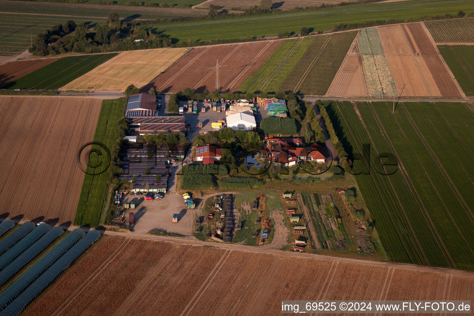 P.+H. Fehmel Gemüsebau in Mutterstadt im Bundesland Rheinland-Pfalz, Deutschland