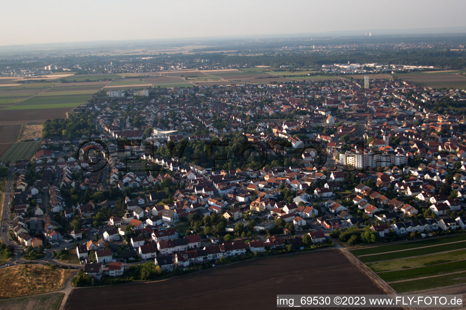 Mutterstadt im Bundesland Rheinland-Pfalz, Deutschland von oben