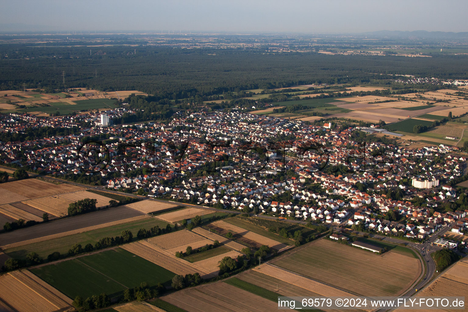 Ortsansicht der Straßen und Häuser der Wohngebiete in Böhl-Iggelheim im Bundesland Rheinland-Pfalz, Deutschland von oben