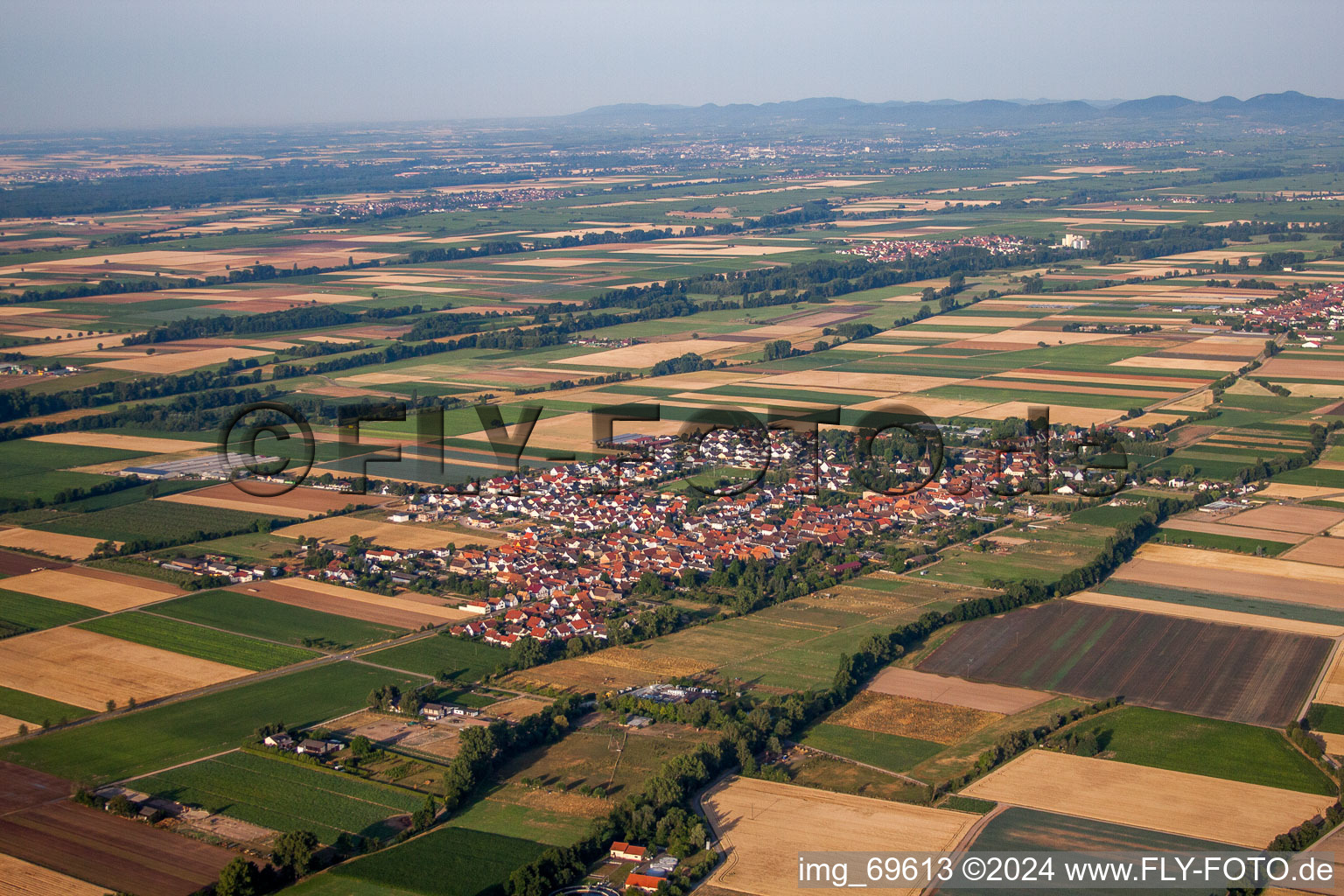 Dorf - Ansicht am Rande von landwirtschaftlichen Feldern und Nutzflächen in Gommersheim im Bundesland Rheinland-Pfalz, Deutschland