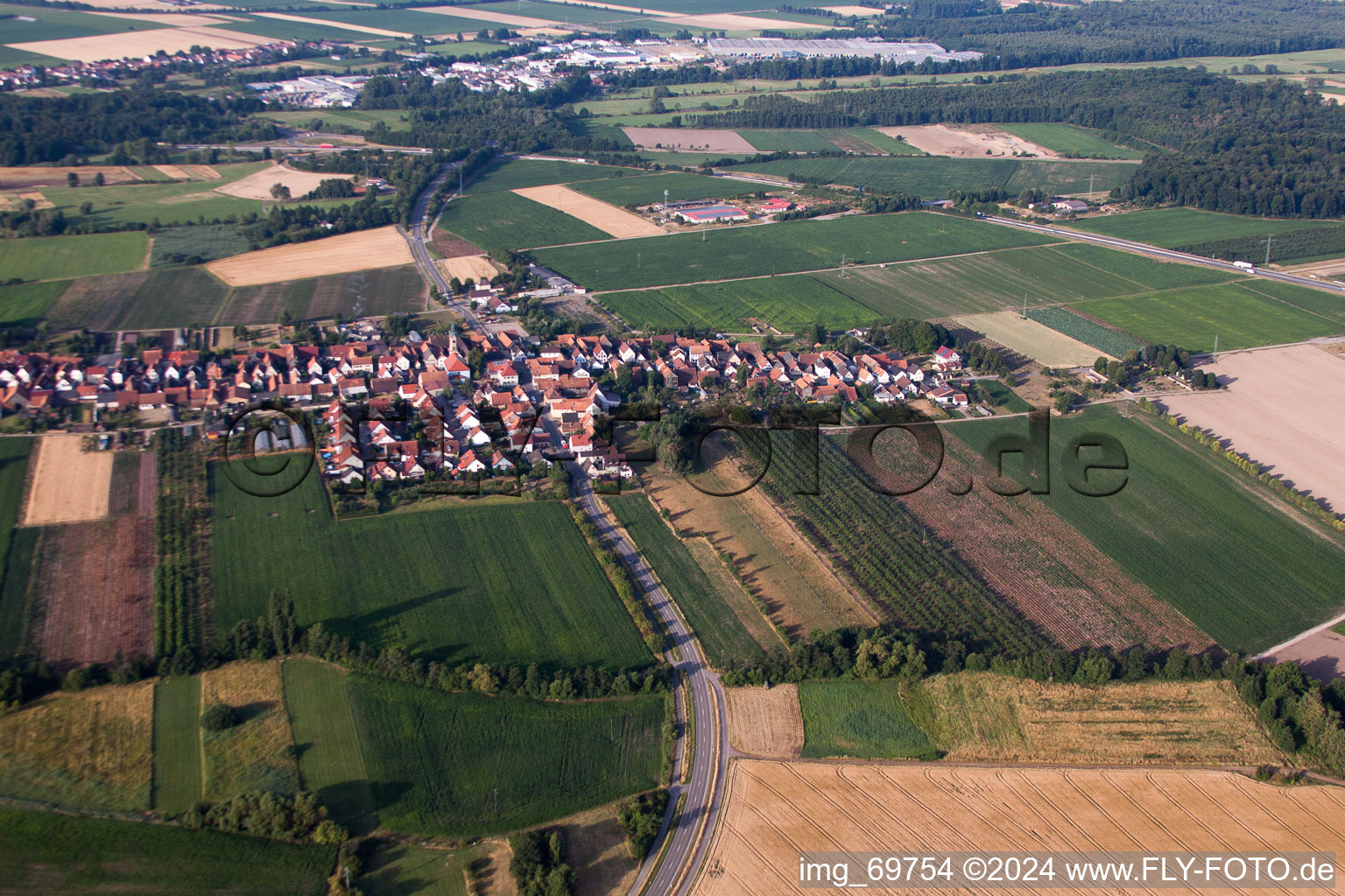 Von Norden in Erlenbach bei Kandel im Bundesland Rheinland-Pfalz, Deutschland aus der Luft