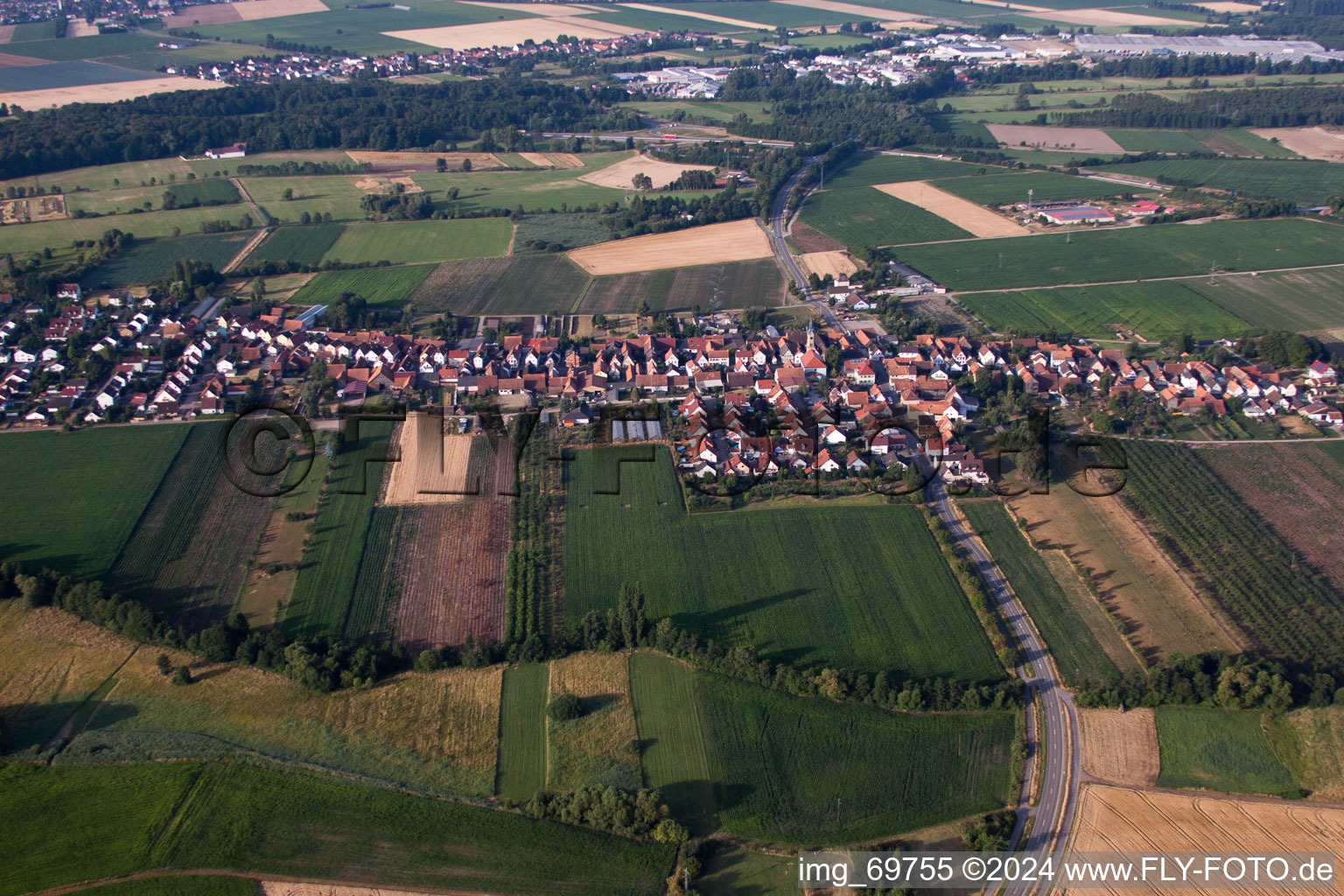 Von Norden in Erlenbach bei Kandel im Bundesland Rheinland-Pfalz, Deutschland von oben gesehen