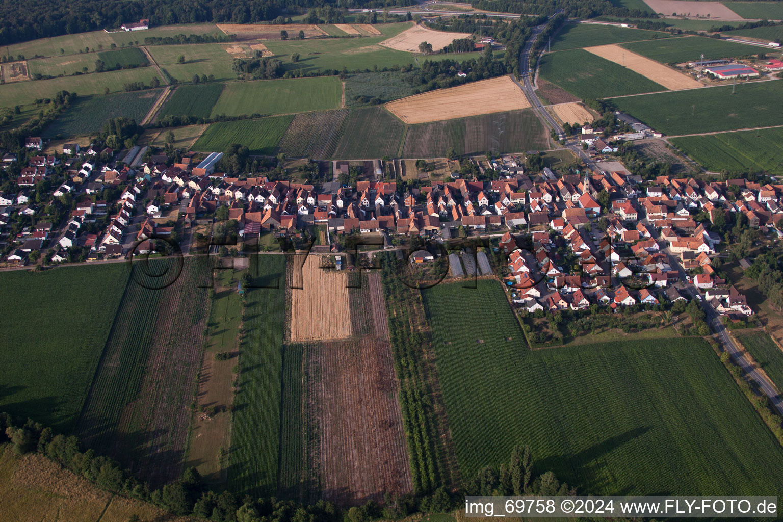 Von Norden in Erlenbach bei Kandel im Bundesland Rheinland-Pfalz, Deutschland aus der Vogelperspektive