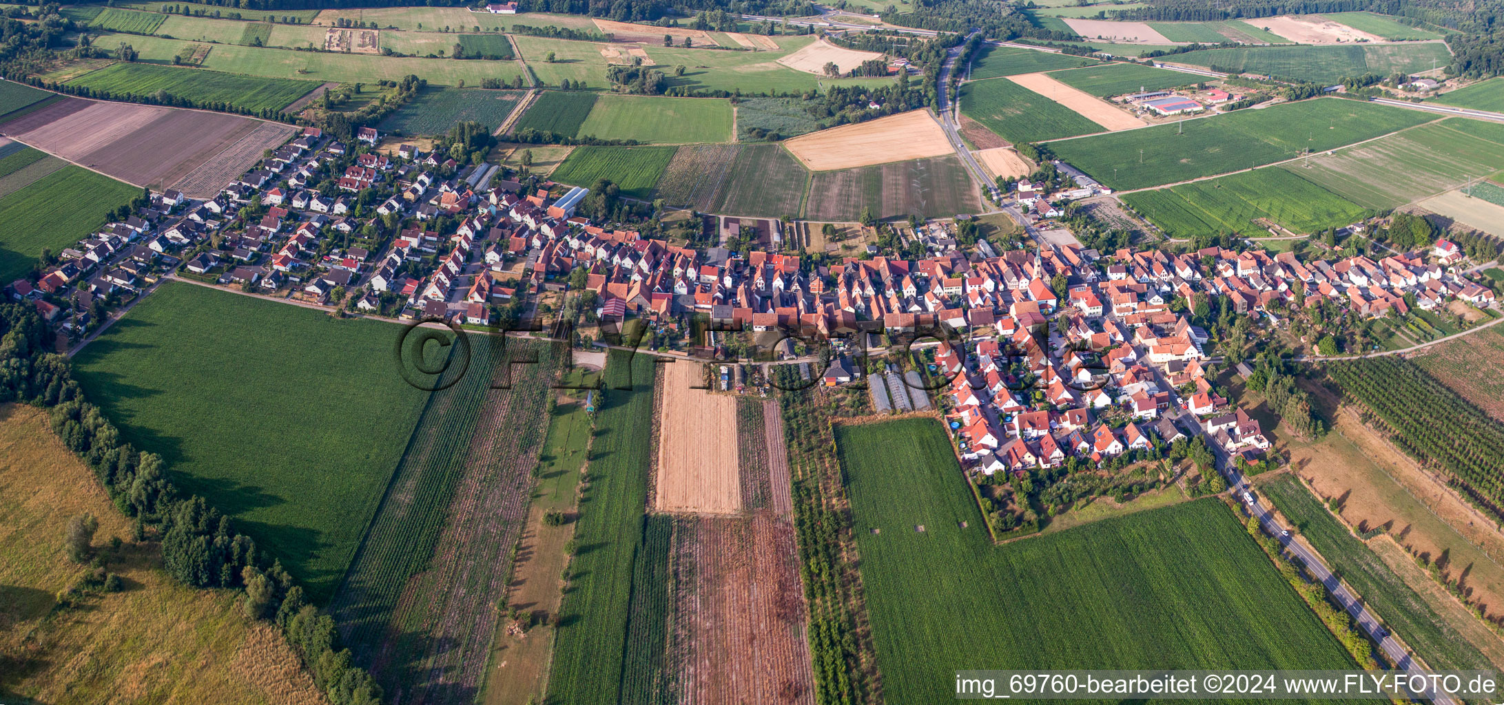 Von Norden in Erlenbach bei Kandel im Bundesland Rheinland-Pfalz, Deutschland aus der Luft betrachtet