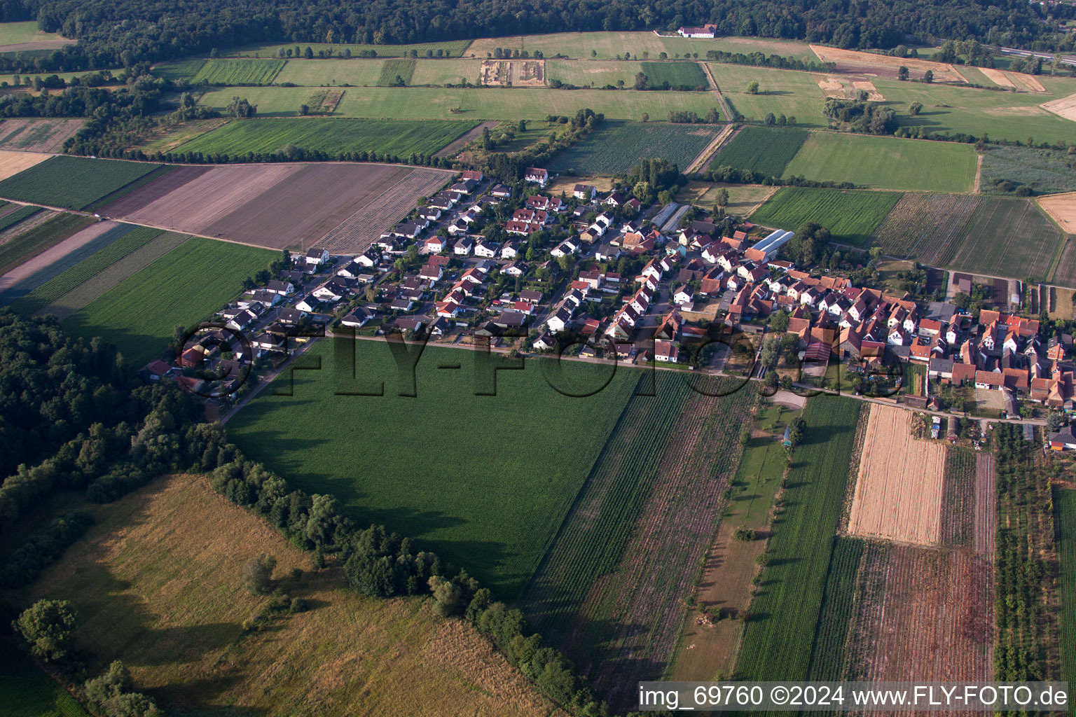 Drohnenaufname von Von Norden in Erlenbach bei Kandel im Bundesland Rheinland-Pfalz, Deutschland