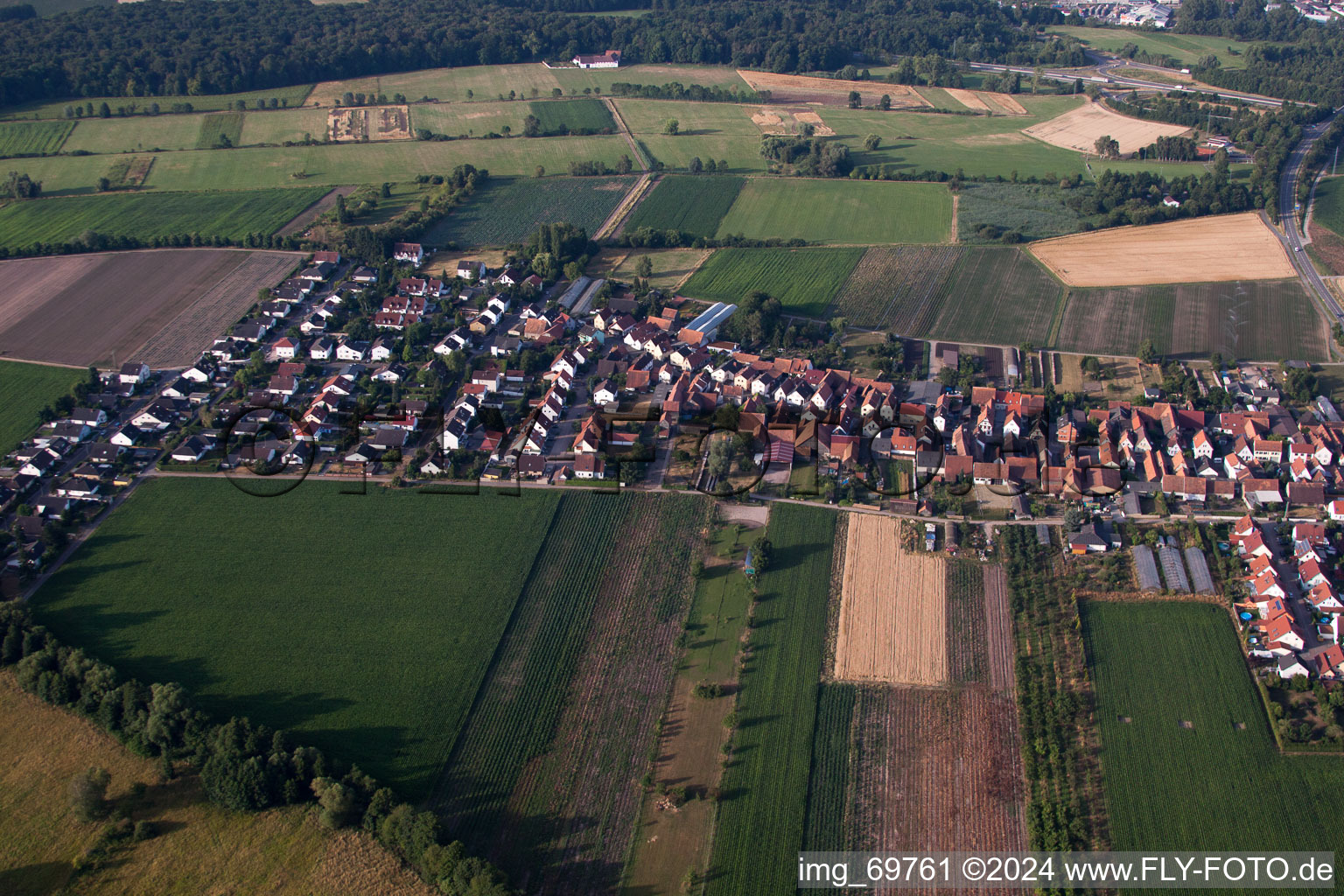 Drohnenbild von Von Norden in Erlenbach bei Kandel im Bundesland Rheinland-Pfalz, Deutschland