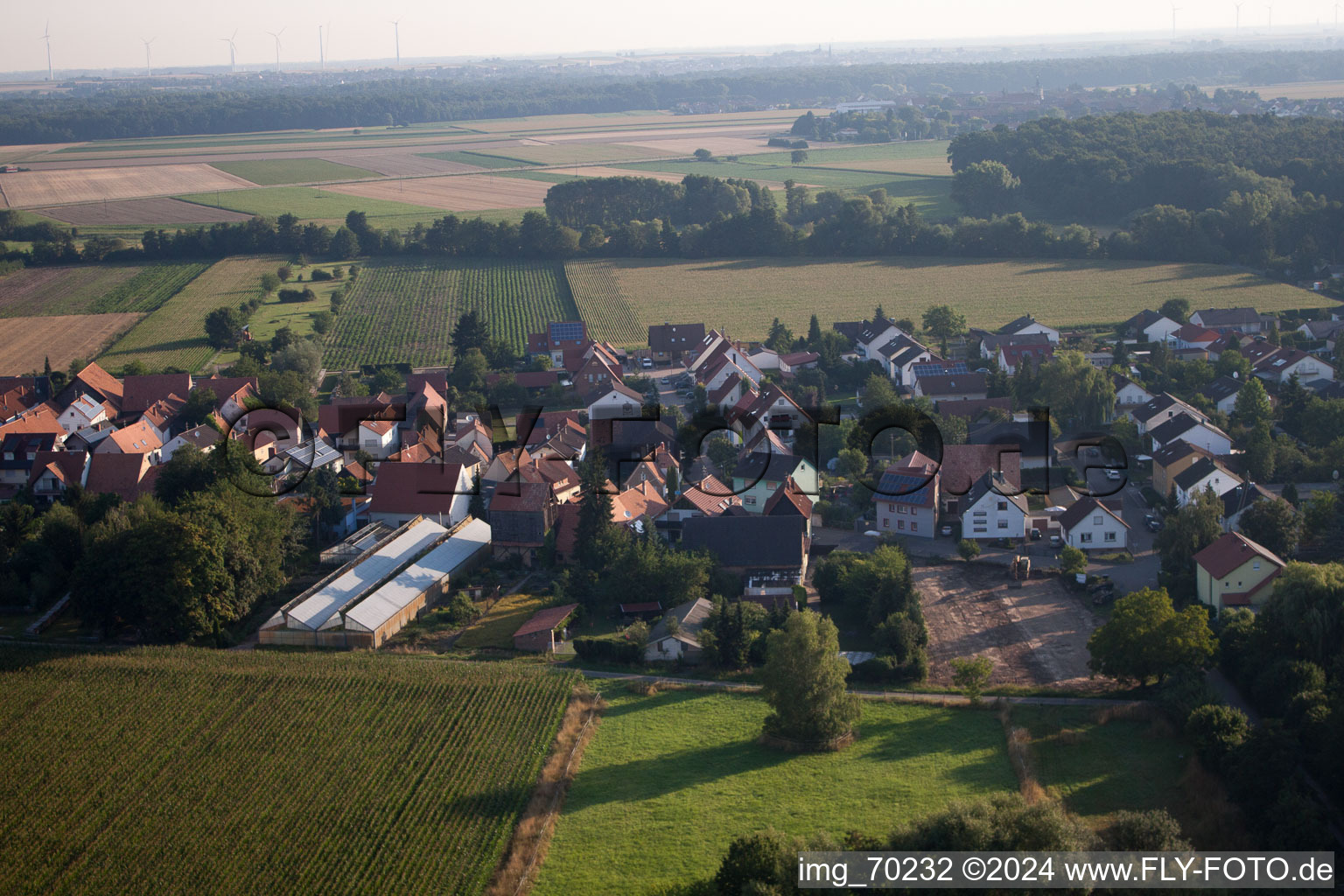 Luftaufnahme von Von Süden in Erlenbach bei Kandel im Bundesland Rheinland-Pfalz, Deutschland