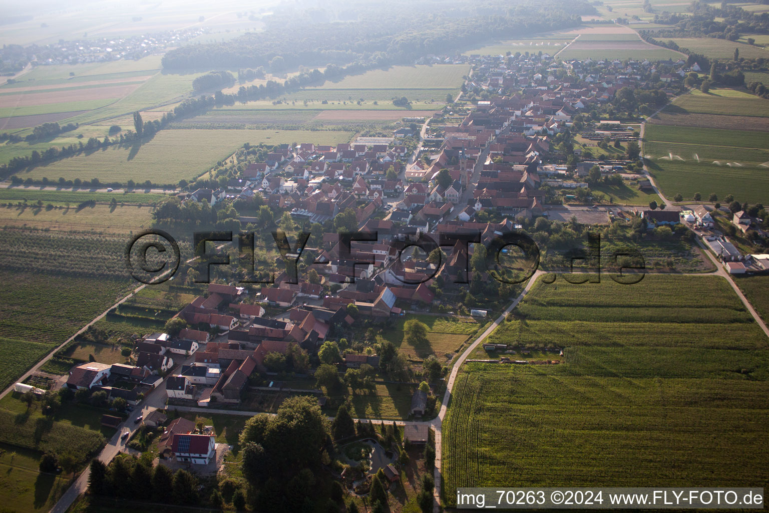 Erlenbach bei Kandel im Bundesland Rheinland-Pfalz, Deutschland von oben gesehen