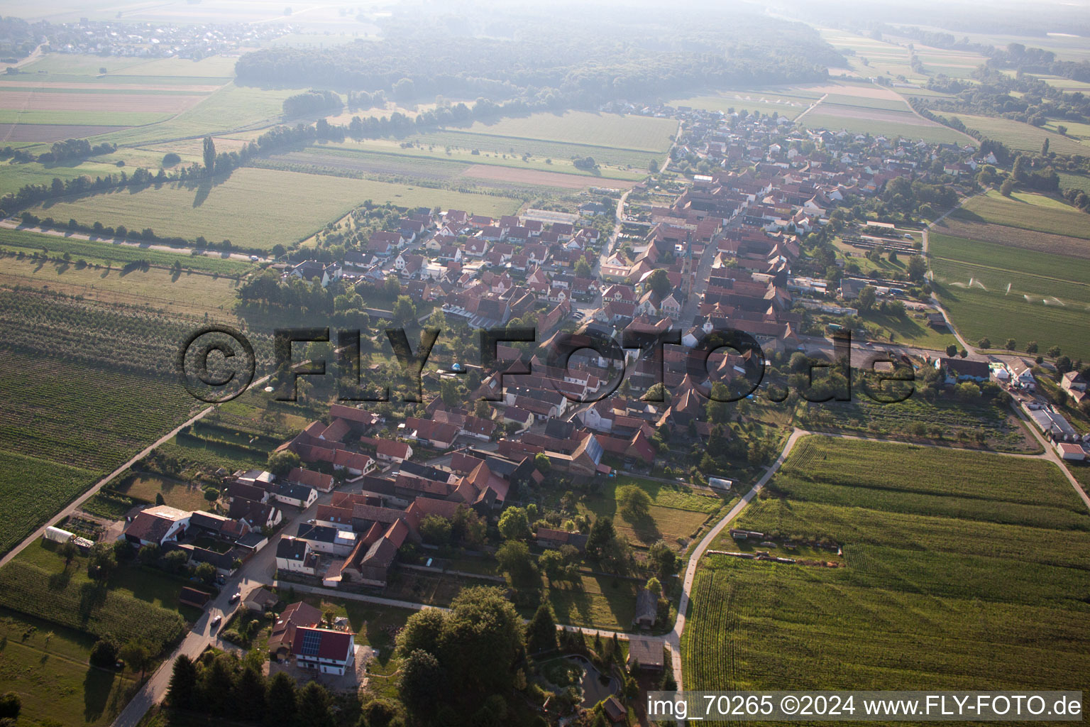 Erlenbach bei Kandel im Bundesland Rheinland-Pfalz, Deutschland vom Flugzeug aus