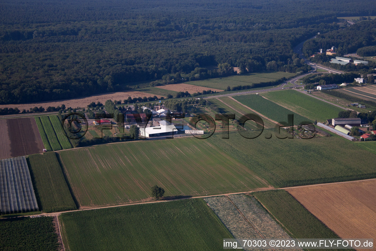 Kandel, Adamshof Fußgolfanlage im Bundesland Rheinland-Pfalz, Deutschland vom Flugzeug aus
