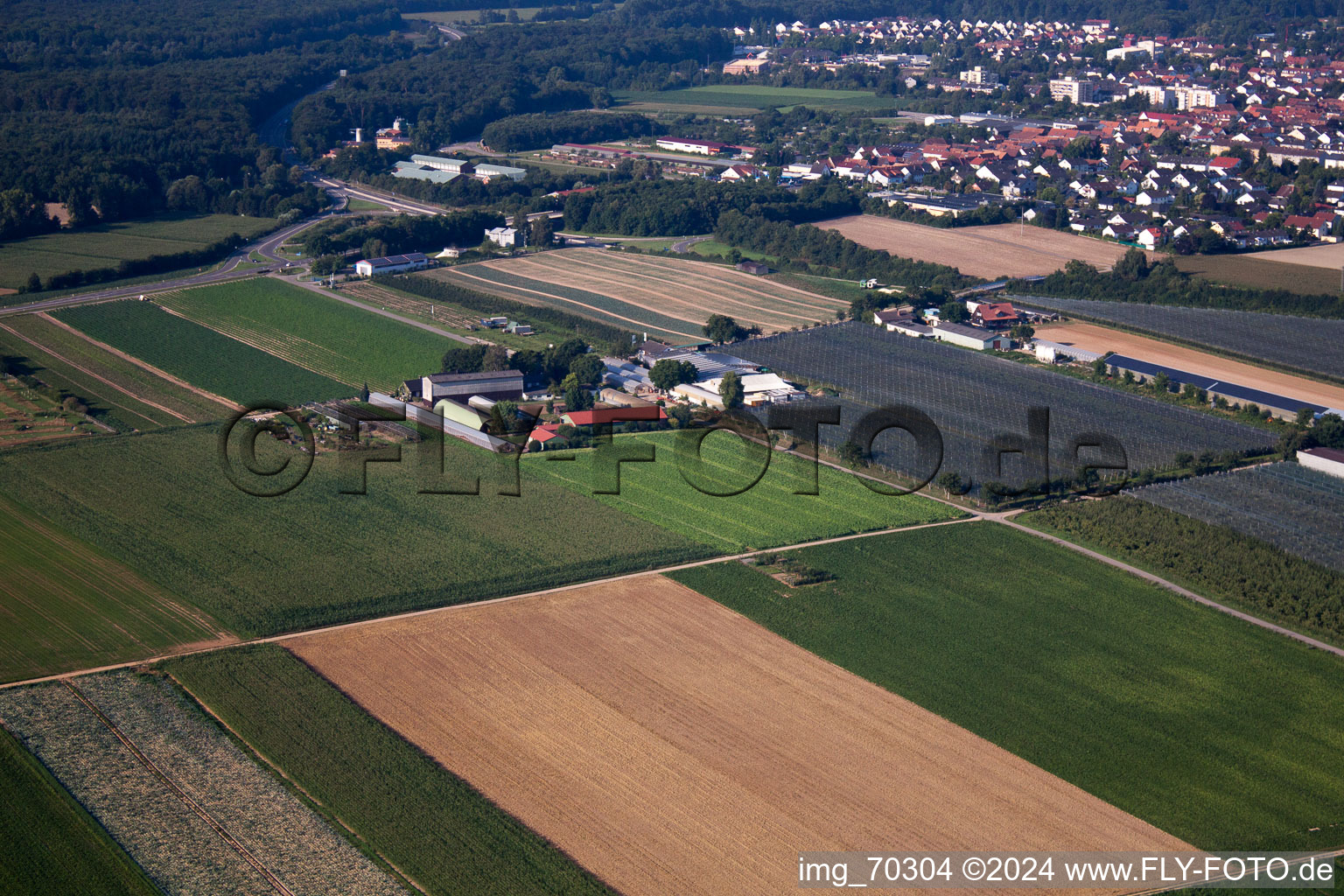 Luftbild von Obsthof Zapf in Kandel im Bundesland Rheinland-Pfalz, Deutschland