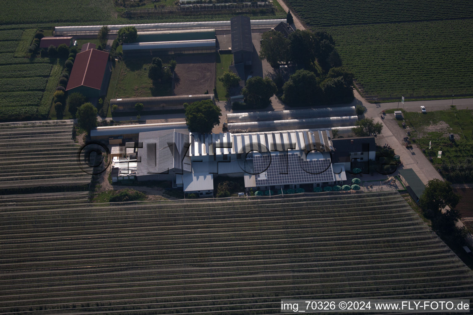 Luftaufnahme von Obsthof Zapf und Hofcafé in Kandel im Bundesland Rheinland-Pfalz, Deutschland