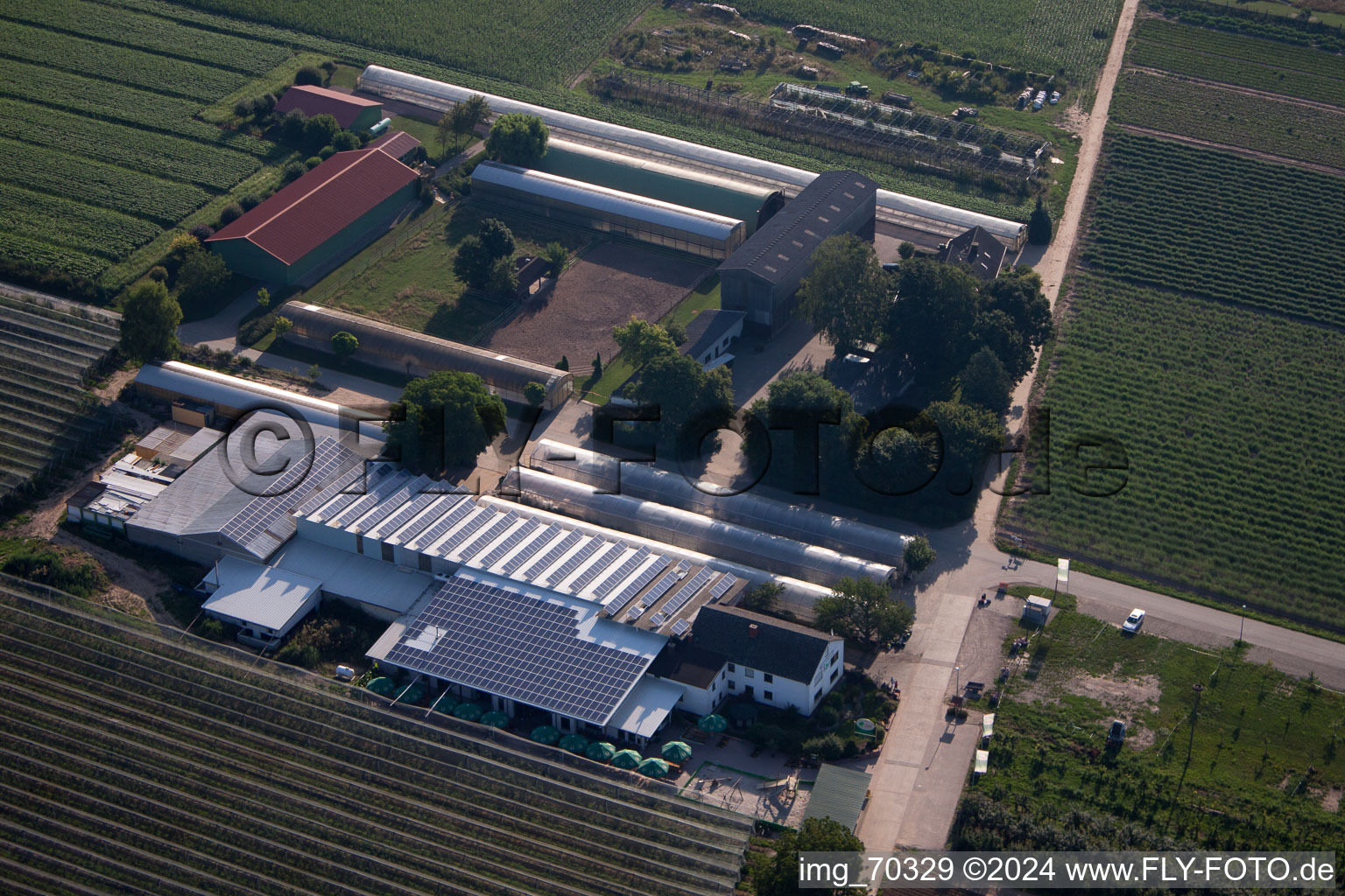 Obsthof Zapf und Hofcafé in Kandel im Bundesland Rheinland-Pfalz, Deutschland aus der Luft