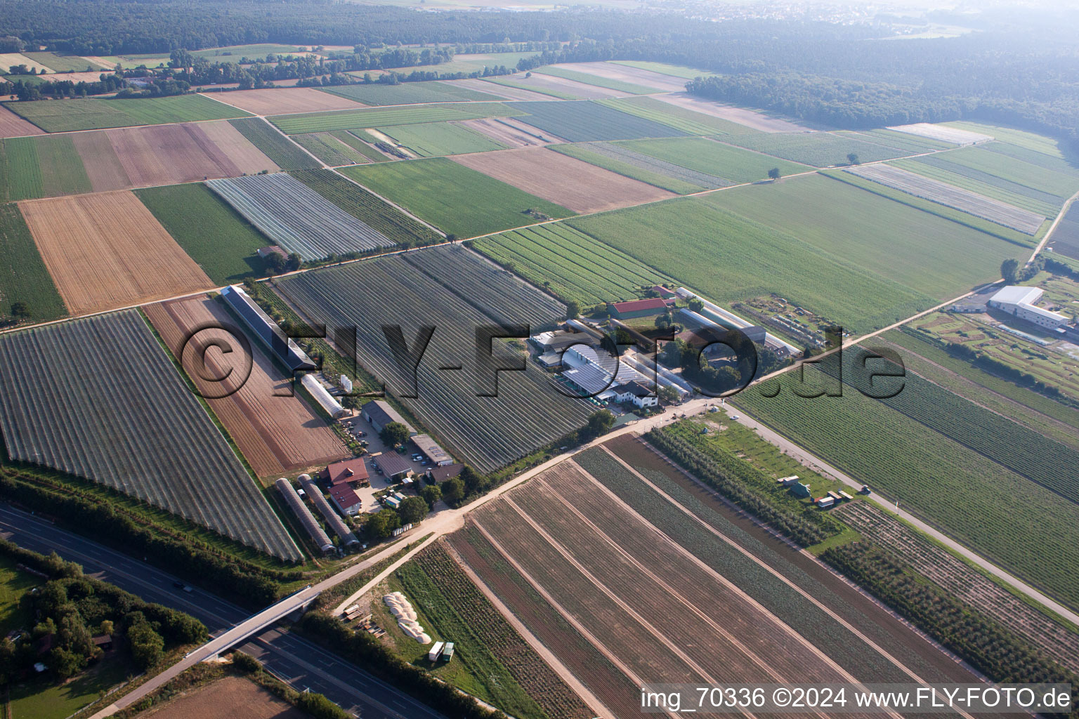 Obsthof Zapf und Hofcafé in Kandel im Bundesland Rheinland-Pfalz, Deutschland vom Flugzeug aus