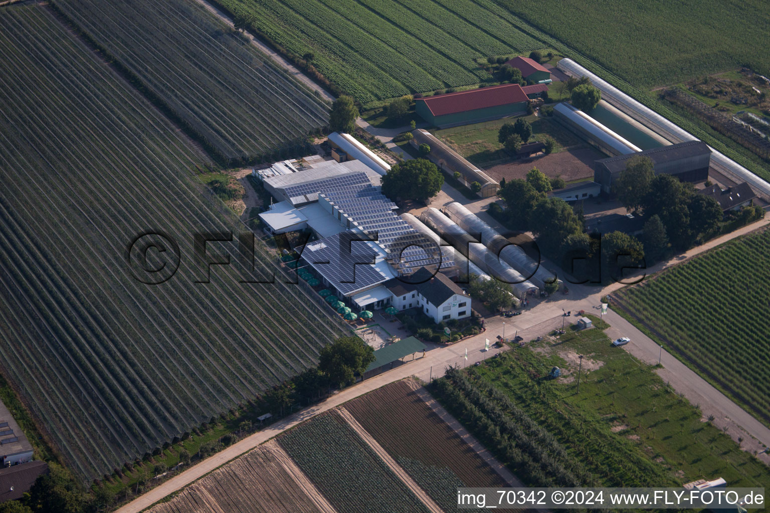 Obsthof Zapf und Hofcafé in Kandel im Bundesland Rheinland-Pfalz, Deutschland aus der Luft betrachtet