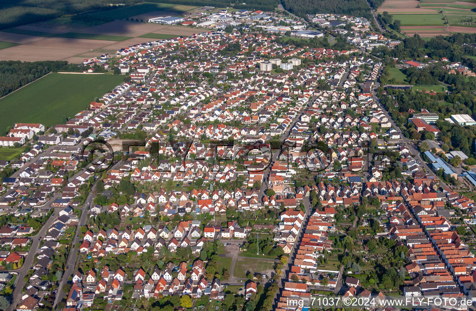 Luftaufnahme von Von Westen in Bellheim im Bundesland Rheinland-Pfalz, Deutschland