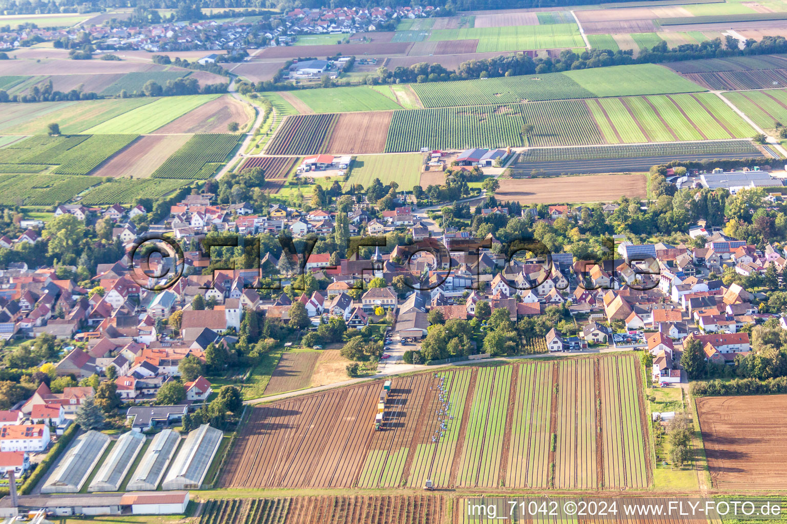 Weingarten im Bundesland Rheinland-Pfalz, Deutschland aus der Luft
