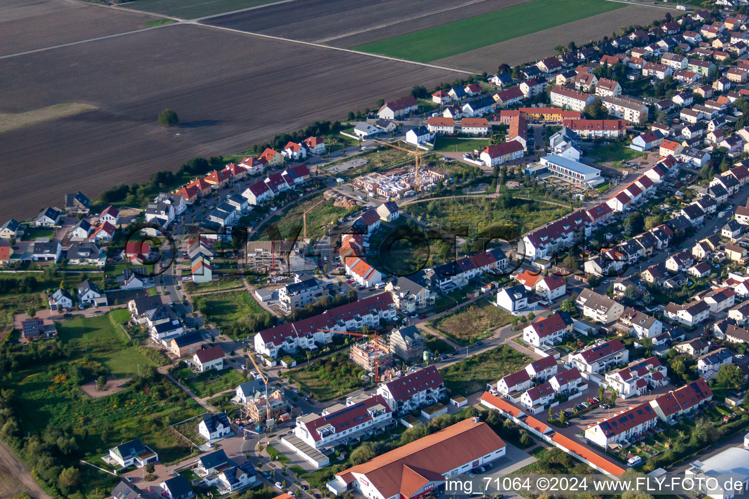 Luftbild von Medardusring in Mutterstadt im Bundesland Rheinland-Pfalz, Deutschland