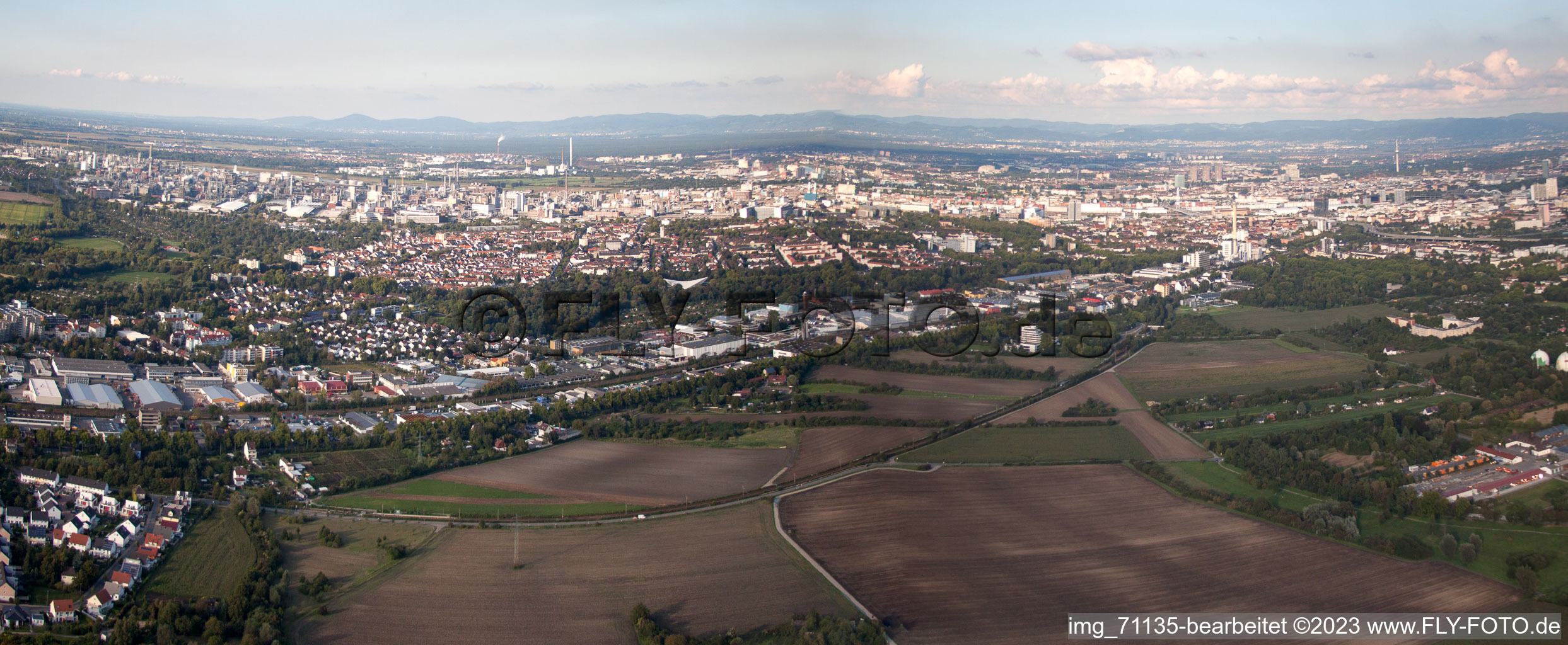 Ortsteil Friesenheim in Ludwigshafen am Rhein im Bundesland Rheinland-Pfalz, Deutschland aus der Luft betrachtet