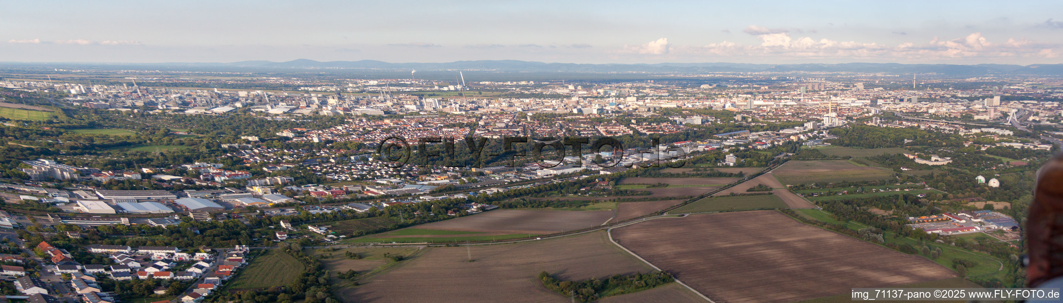 Stadtpanorama von Südwesten im Ortsteil Friesenheim in Ludwigshafen am Rhein im Bundesland Rheinland-Pfalz, Deutschland