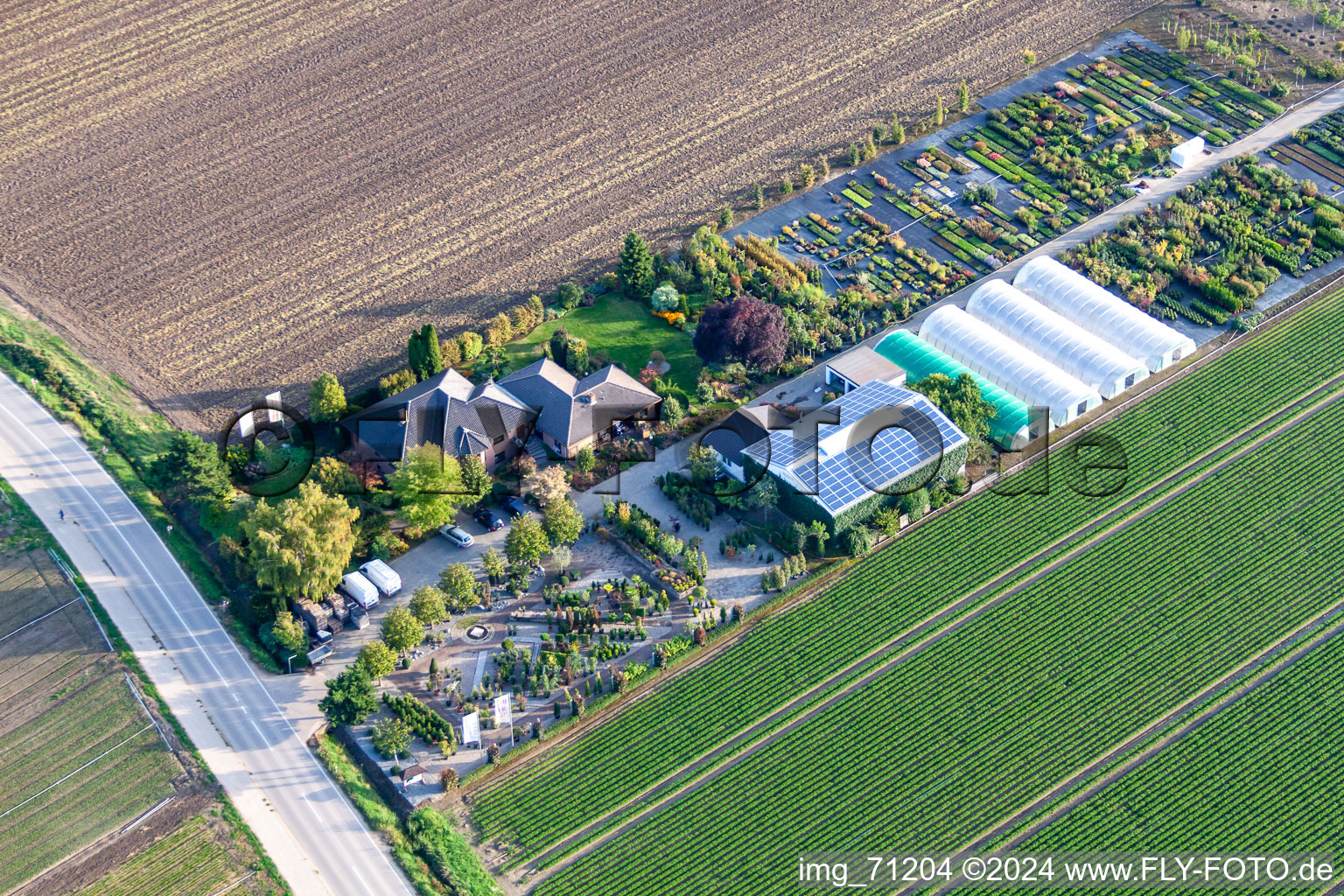 Baumschule Krüger in Mutterstadt im Bundesland Rheinland-Pfalz, Deutschland