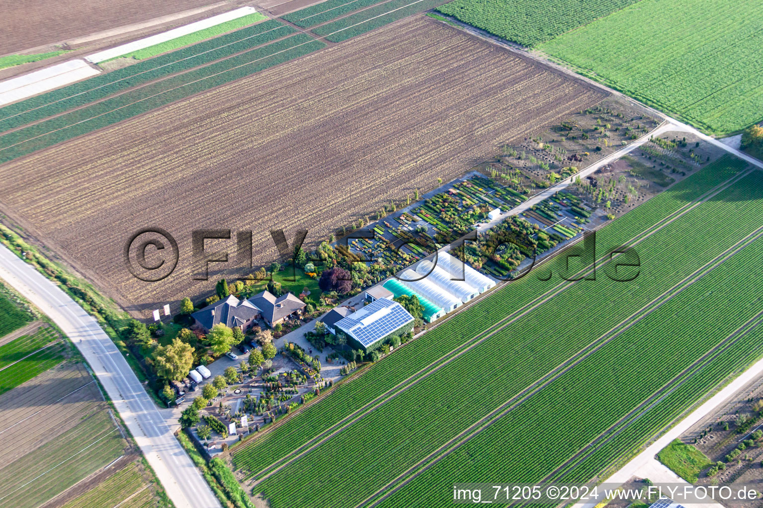 Luftbild von Baumschule Krüger in Mutterstadt im Bundesland Rheinland-Pfalz, Deutschland