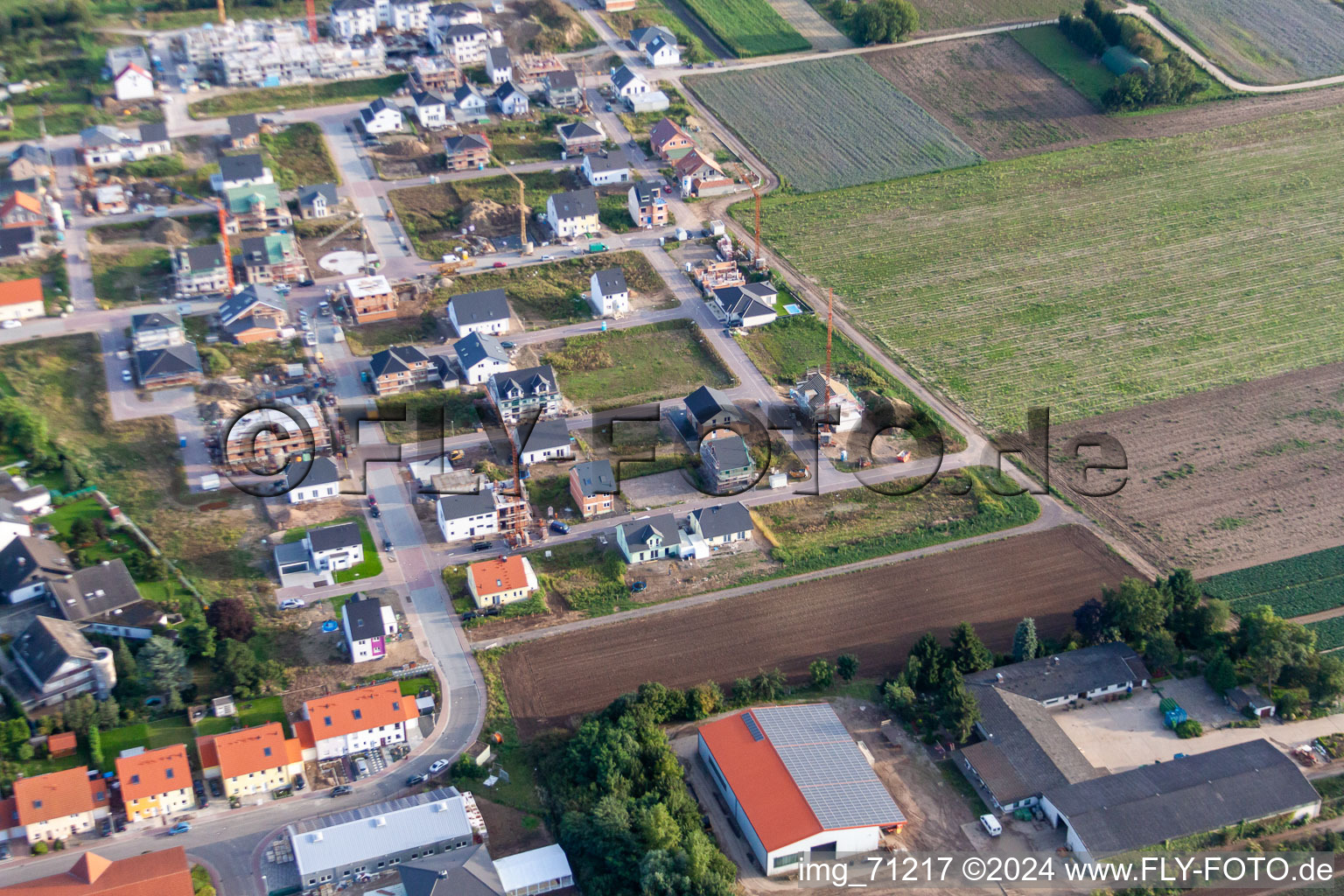 Luftbild von Neubaugebiet Betheny-Allee im Ortsteil Schauernheim in Dannstadt-Schauernheim im Bundesland Rheinland-Pfalz, Deutschland